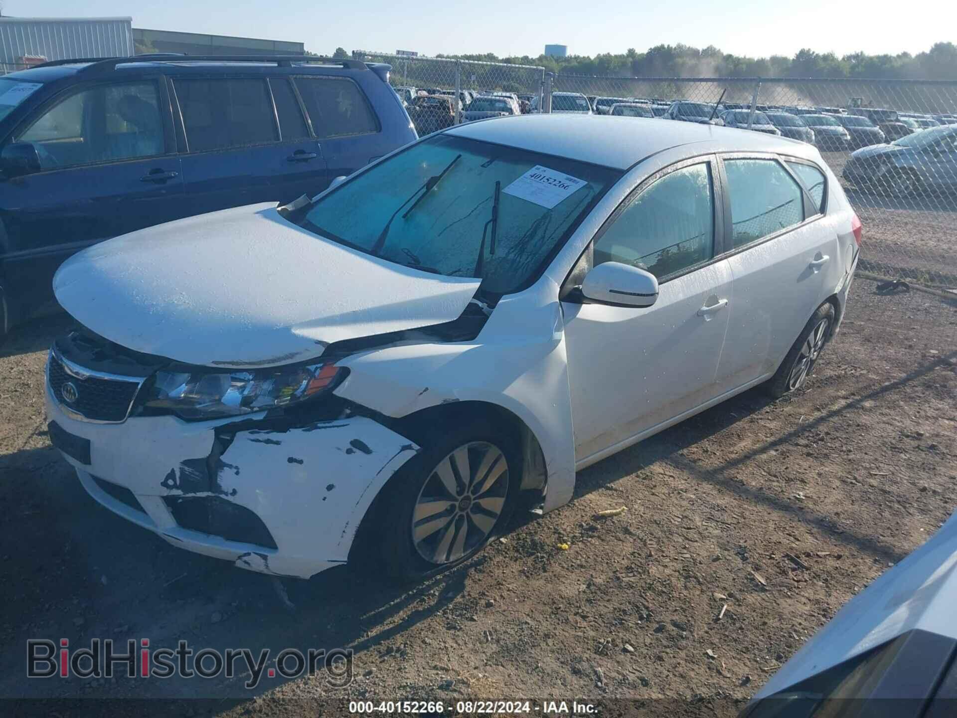 2013 KIA FORTE - VIN: KNAFU5A28D5687326 - Фото 2