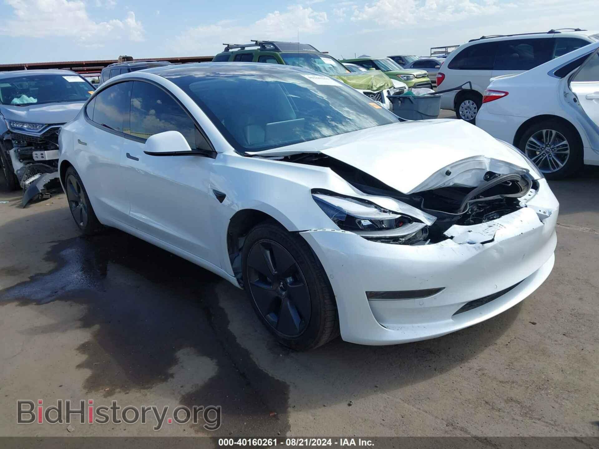 Photo 5YJ3E1EA9MF076538 - TESLA MODEL 3 2021