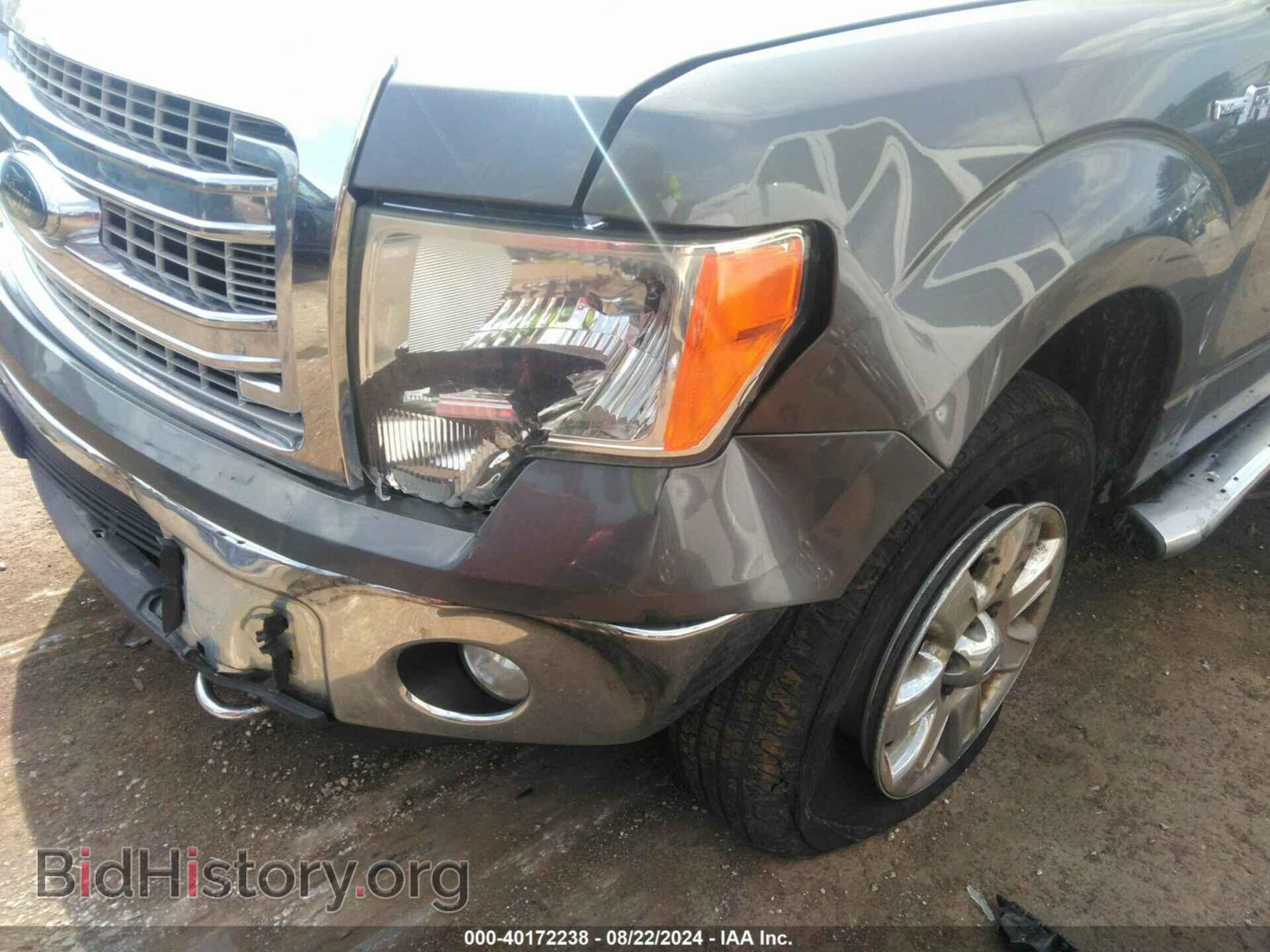 2013 FORD F-150 - VIN: 1FTFX1EF5DFD39798 - Фото 6