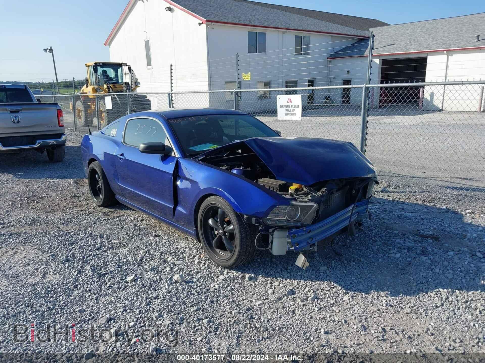 Photo 1ZVBP8AM3E5329884 - FORD MUSTANG 2014