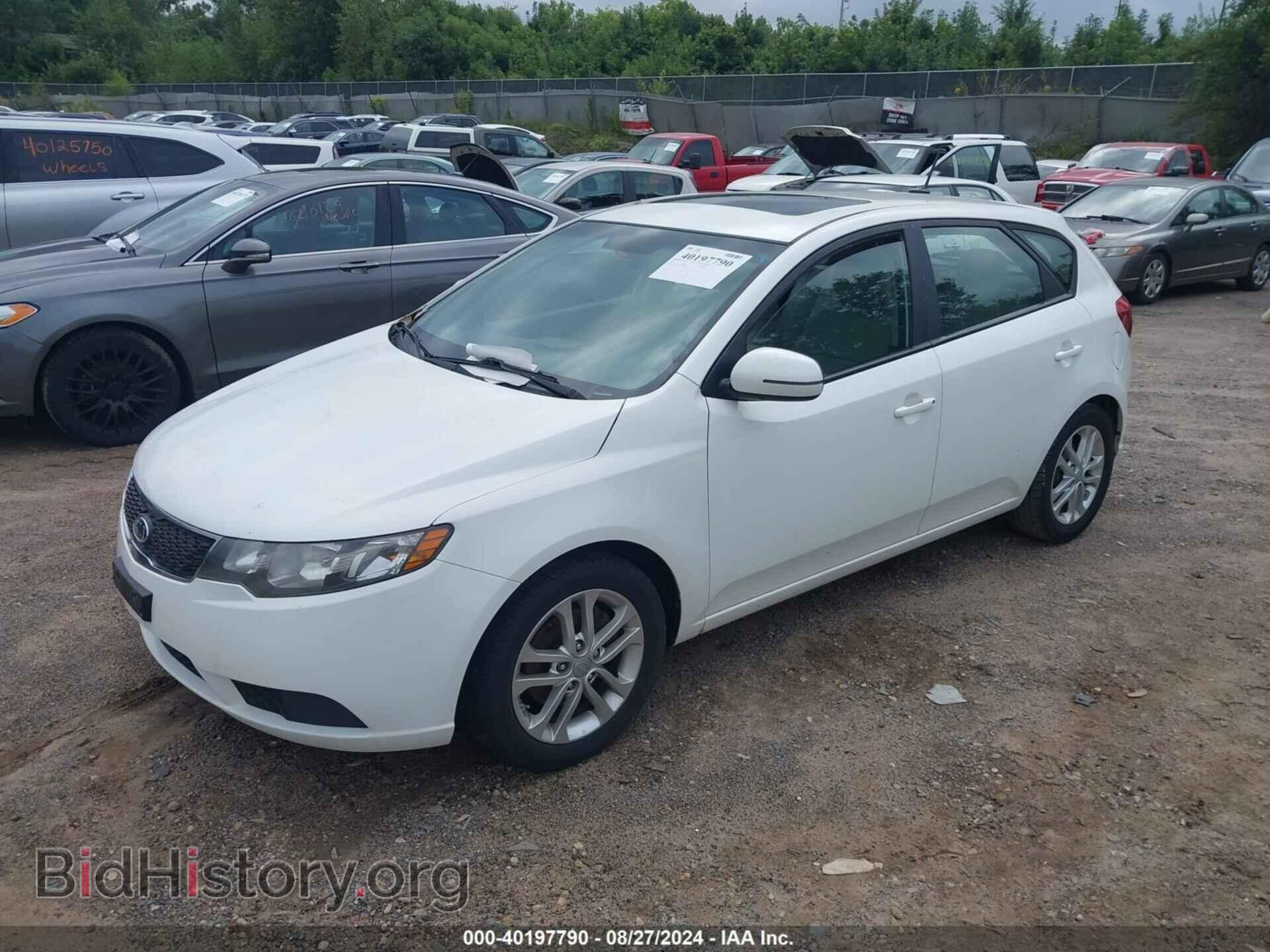 2012 KIA FORTE - VIN: KNAFU5A2XC5588084 - Фото 2