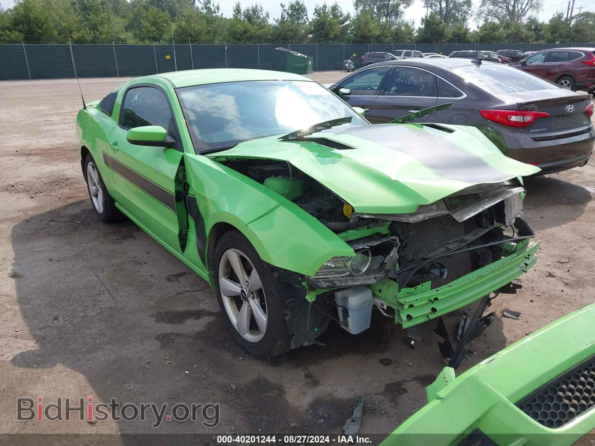 Фотография 1ZVBP8CF3E5269734 - FORD MUSTANG 2014