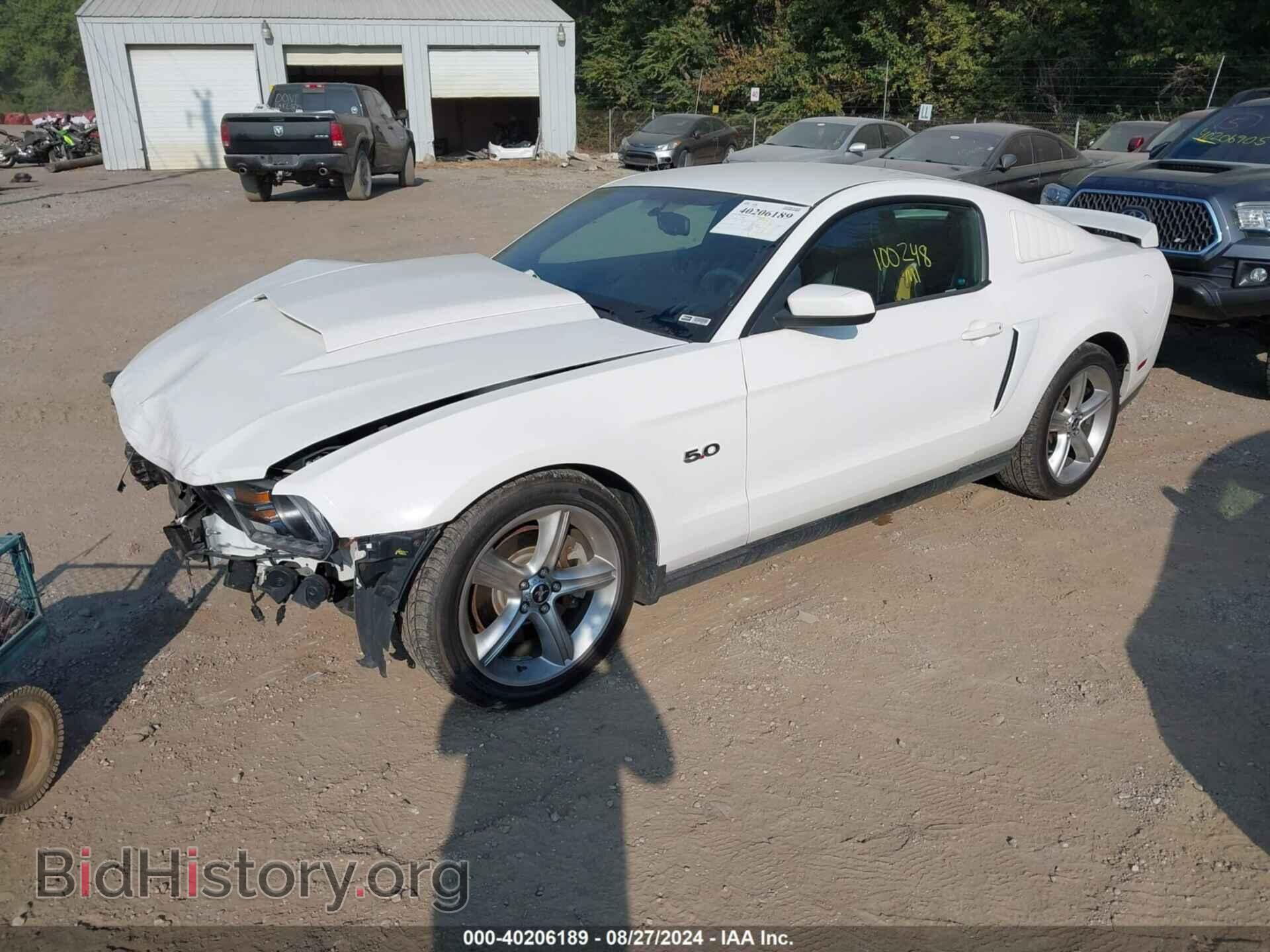 2012 FORD MUSTANG - VIN: 1ZVBP8CF0C5255996 - Фото 2