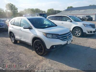 2014 Honda CR-V EX-L, белый — VIN 5J6RM4H71EL037076, IAAI