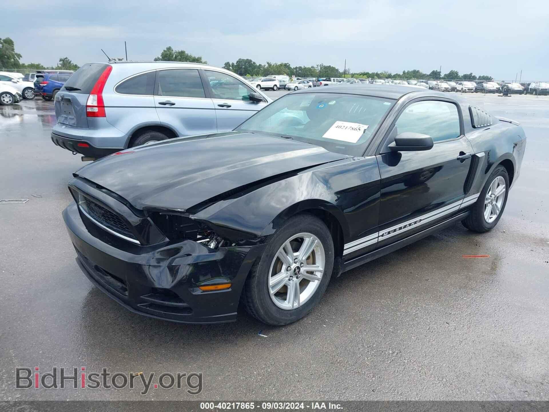 2013 FORD MUSTANG - VIN: 1ZVBP8AM4D5228707 - Фото 2