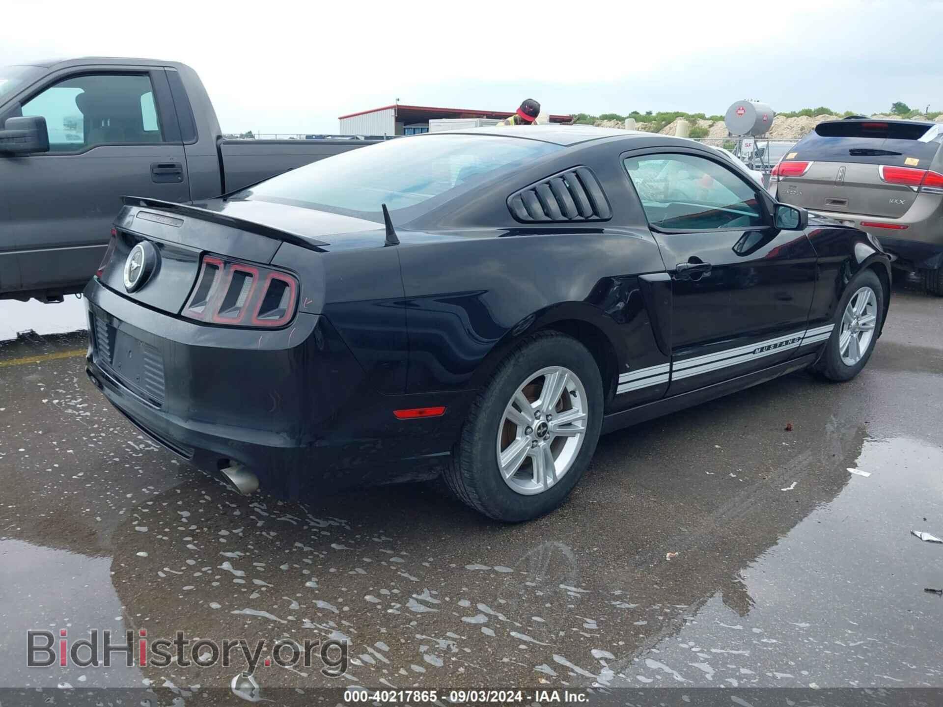 2013 FORD MUSTANG - VIN: 1ZVBP8AM4D5228707 - Фото 4