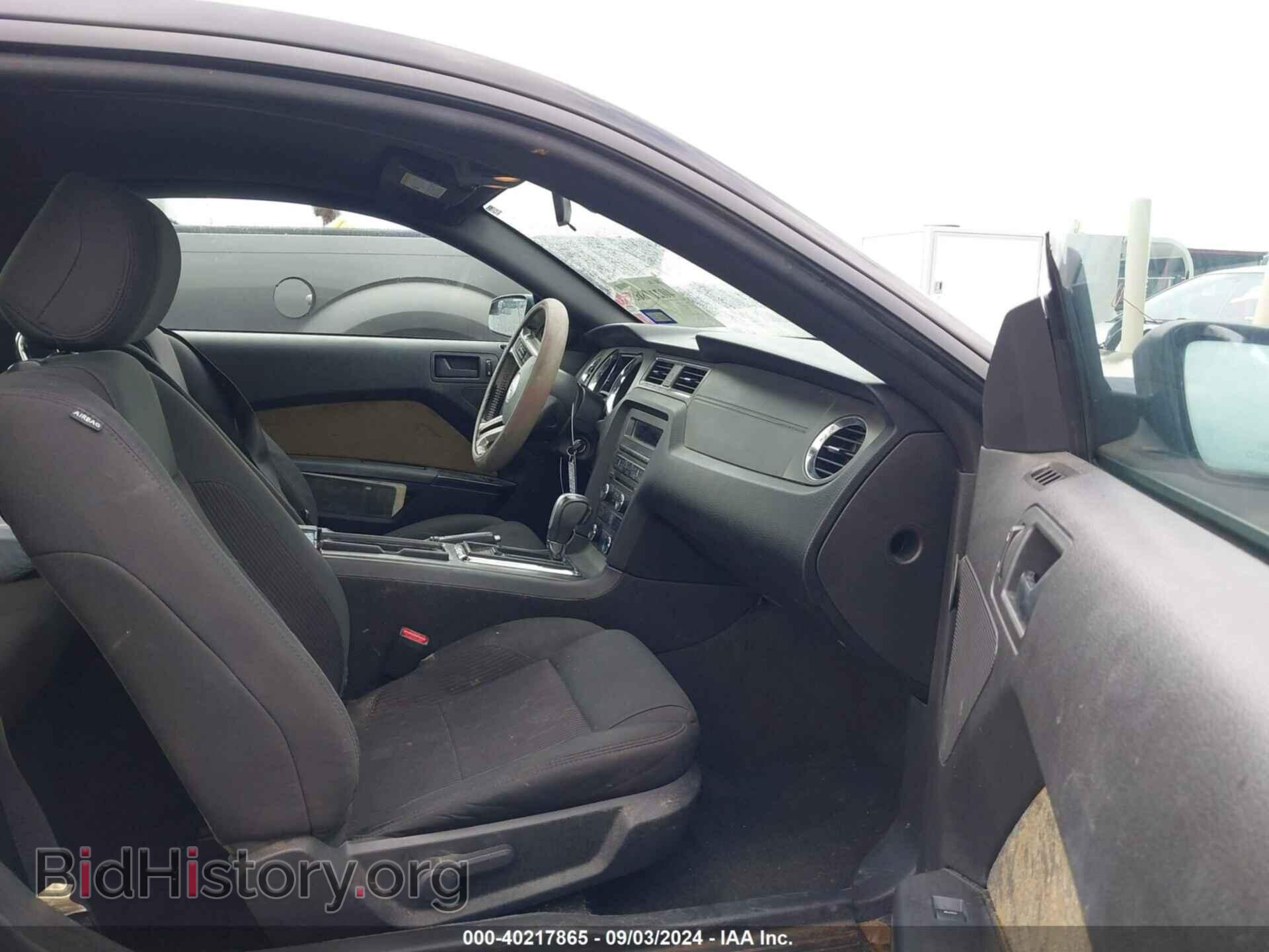 2013 FORD MUSTANG - VIN: 1ZVBP8AM4D5228707 - Фото 5