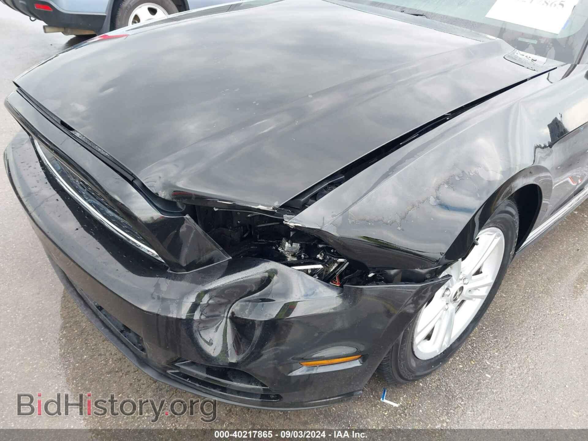 2013 FORD MUSTANG - VIN: 1ZVBP8AM4D5228707 - Фото 6