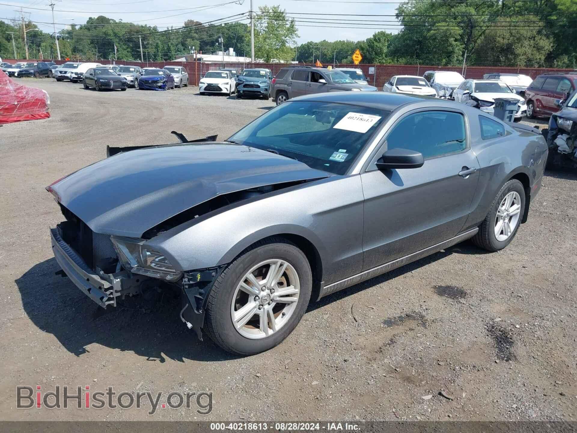 2013 FORD MUSTANG - VIN: 1ZVBP8AM0D5220670 - Фото 2