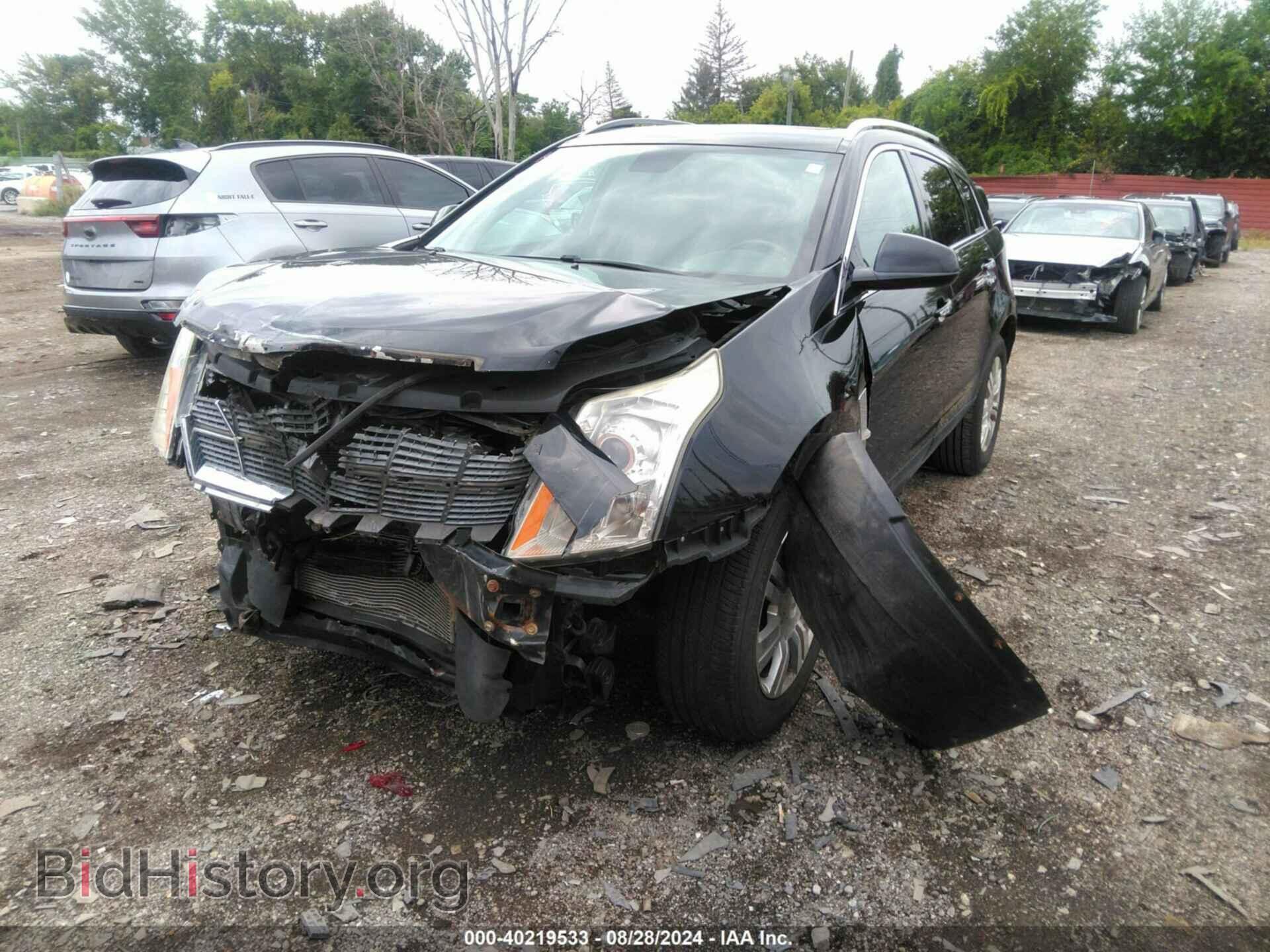 2011 CADILLAC SRX - VIN: 3GYFNAEY7BS660641 - Фото 2