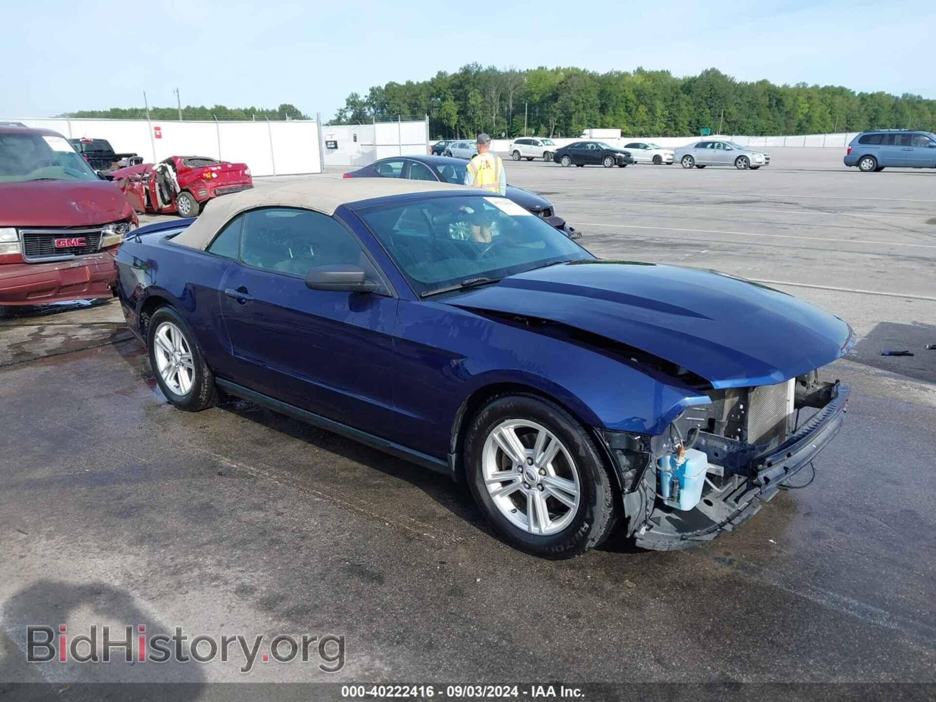 Фотография 1ZVBP8EM1C5201716 - FORD MUSTANG 2012