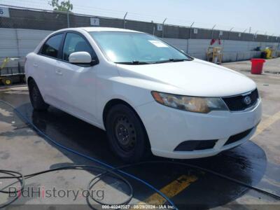 2010 Kia FORTE EX, белый — VIN KNAFU4A21A5288277, IAAI