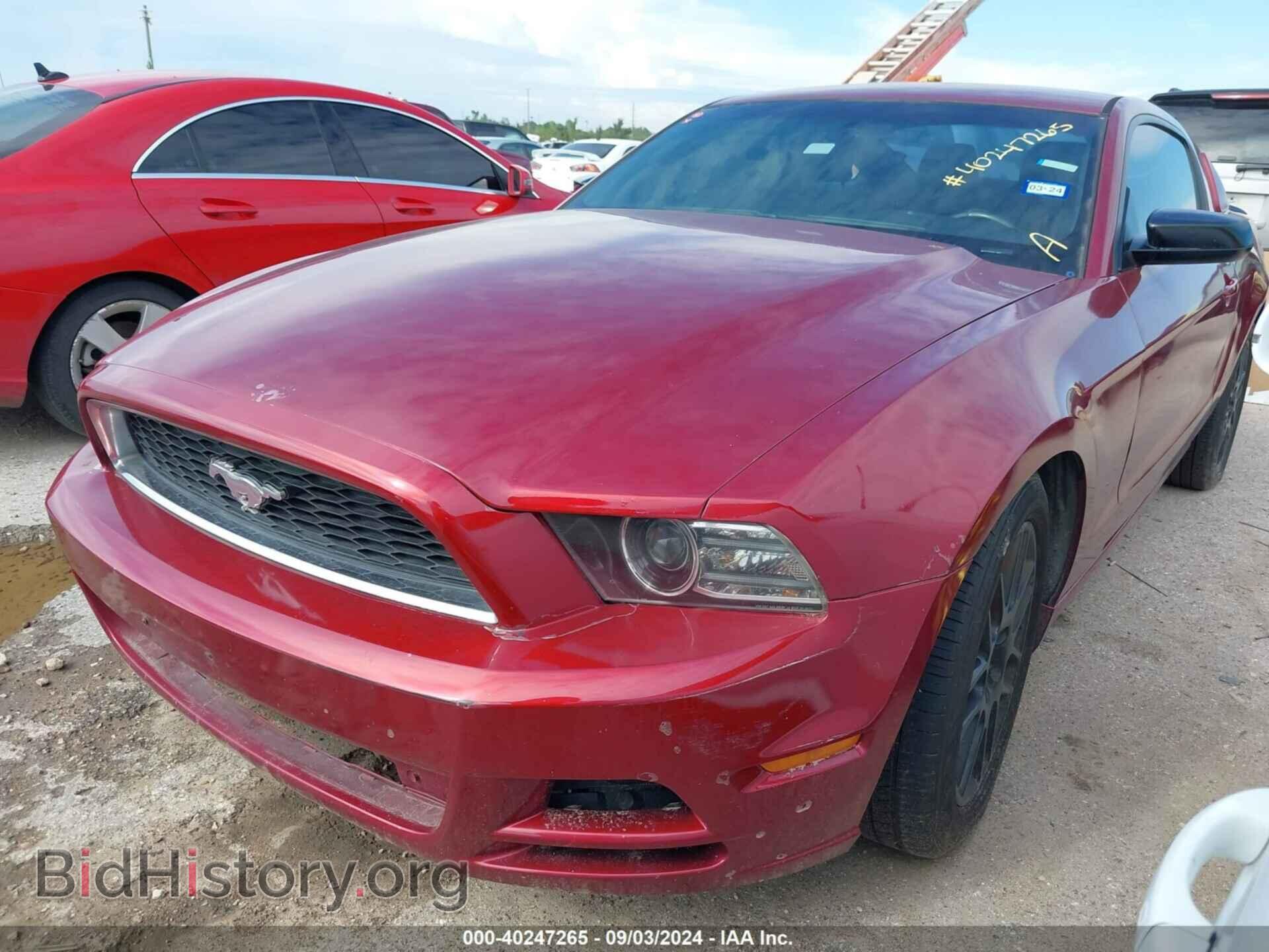 2014 FORD MUSTANG - VIN: 1ZVBP8AM8E5249853 - Фото 2
