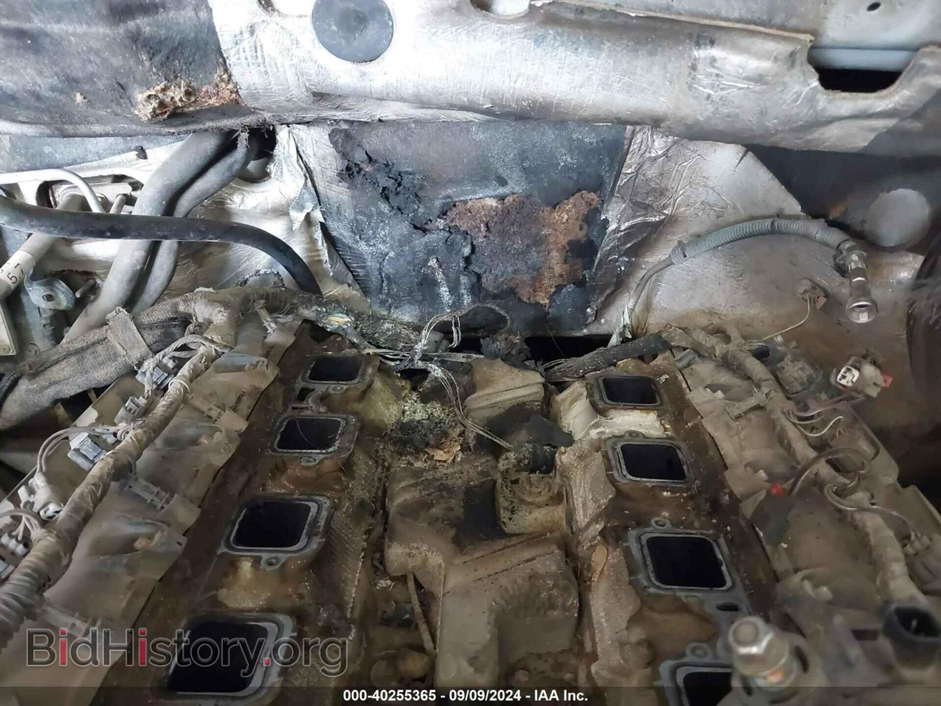 2011 DODGE RAM 2500 - VIN: 3D7TT2CT3BG564901 - Фото 6
