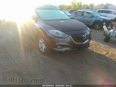 2014 Mazda CX-9 Touring, серый — VIN JM3TB3CV1E0442168, IAAI