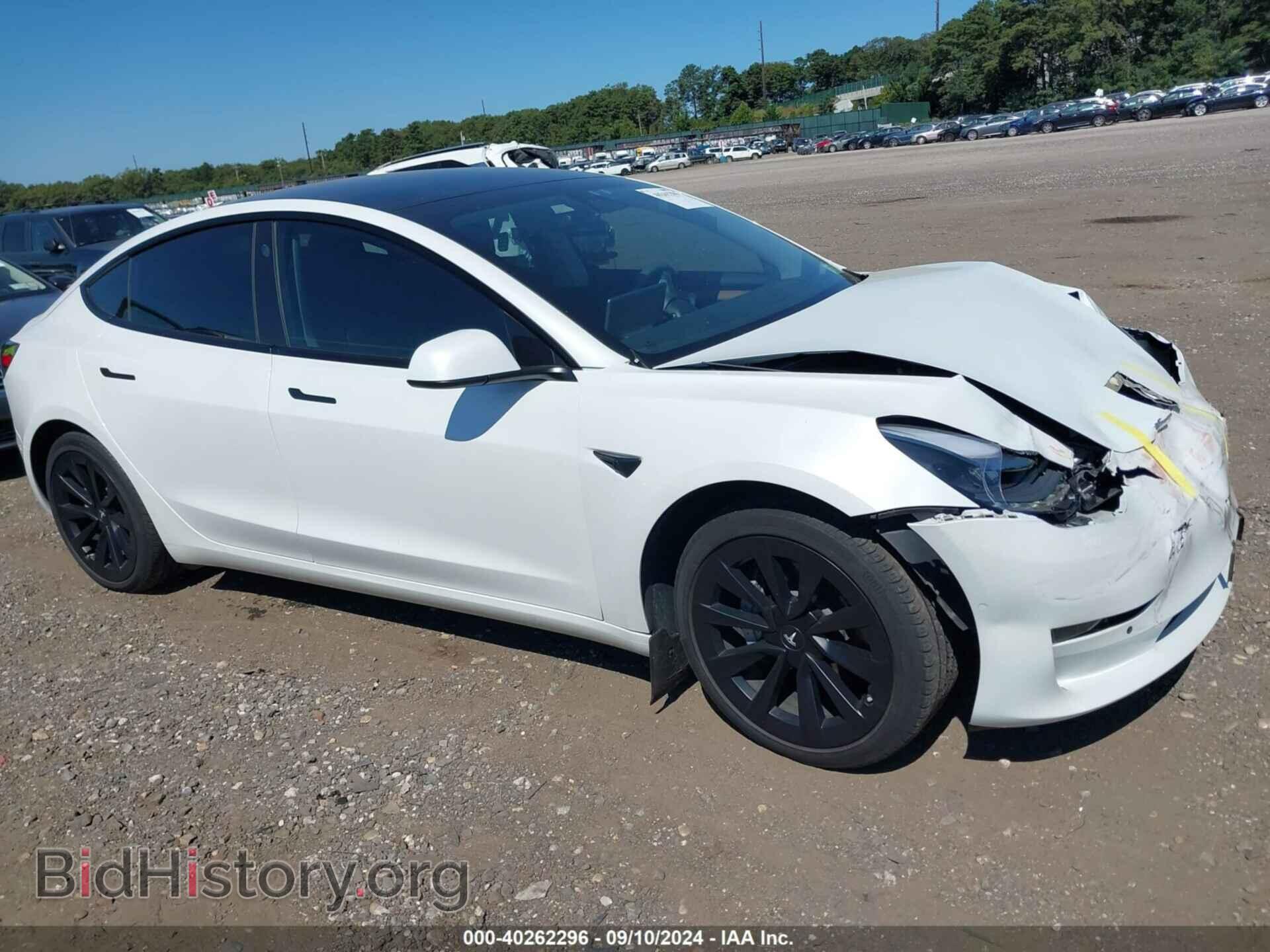 Photo 5YJ3E1EB9MF975330 - TESLA MODEL 3 2021