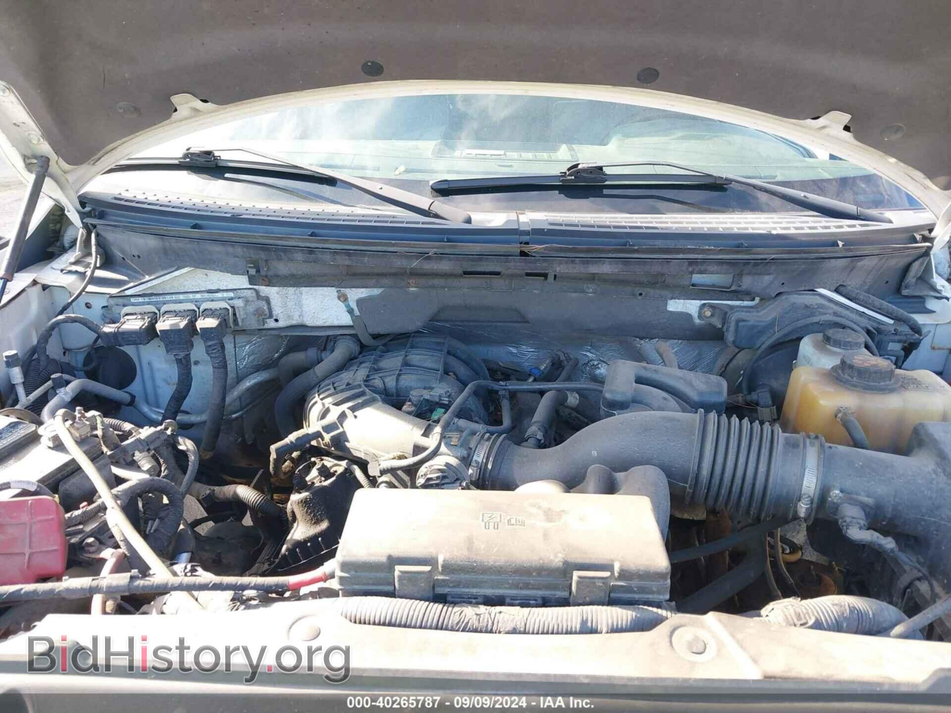 2013 FORD F-150 - VIN: 1FTEX1EM3DFD60448 - Фото 10
