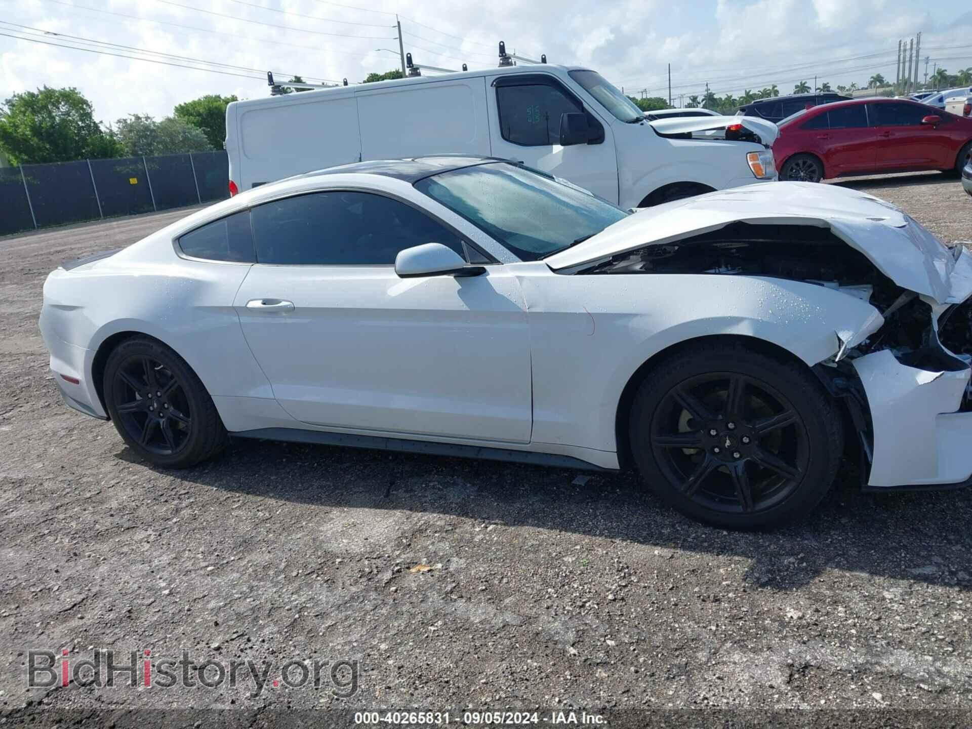 2019 FORD MUSTANG - VIN: 1FA6P8TH9K5110207 - Фото 13