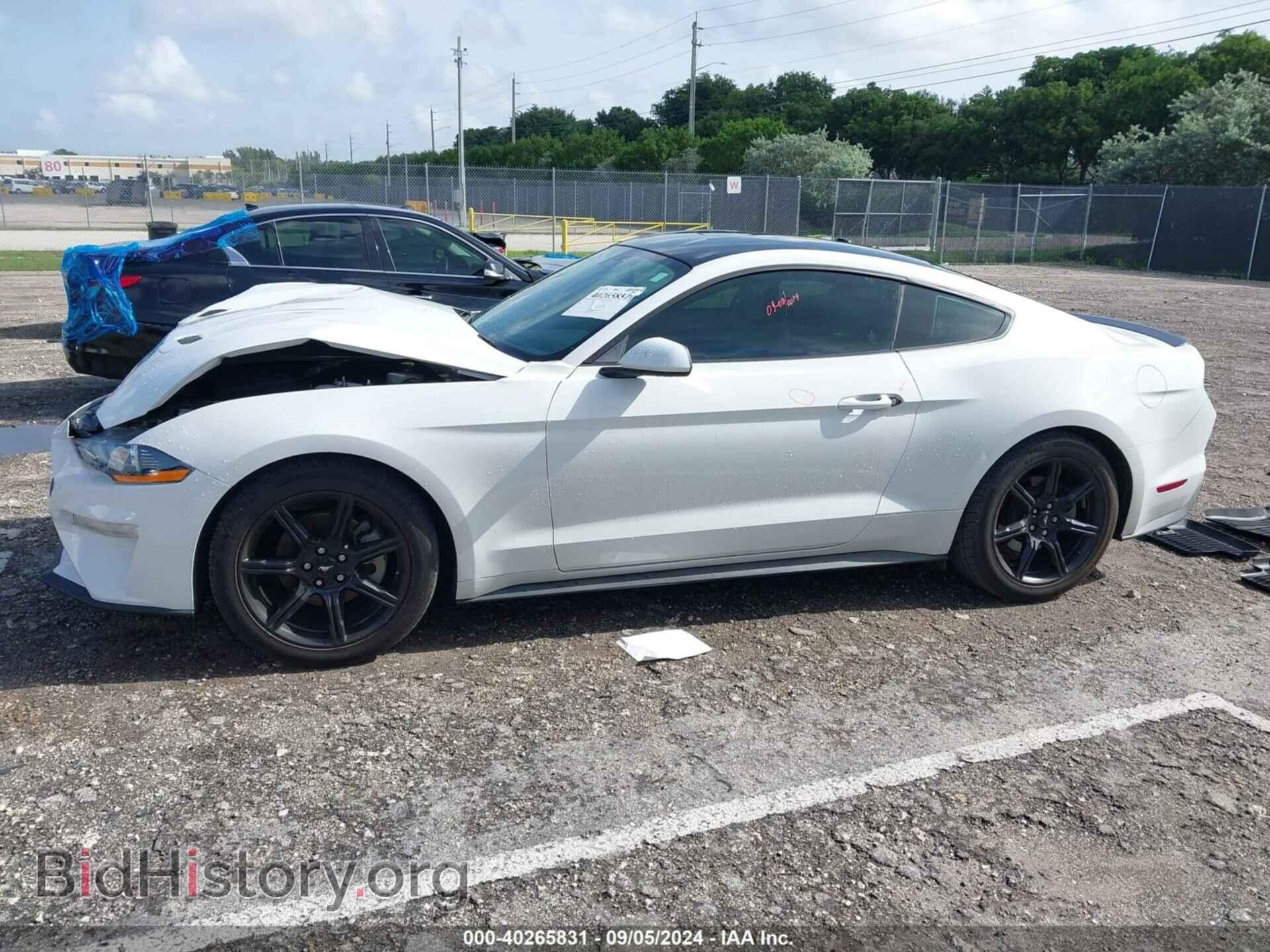2019 FORD MUSTANG - VIN: 1FA6P8TH9K5110207 - Фото 14