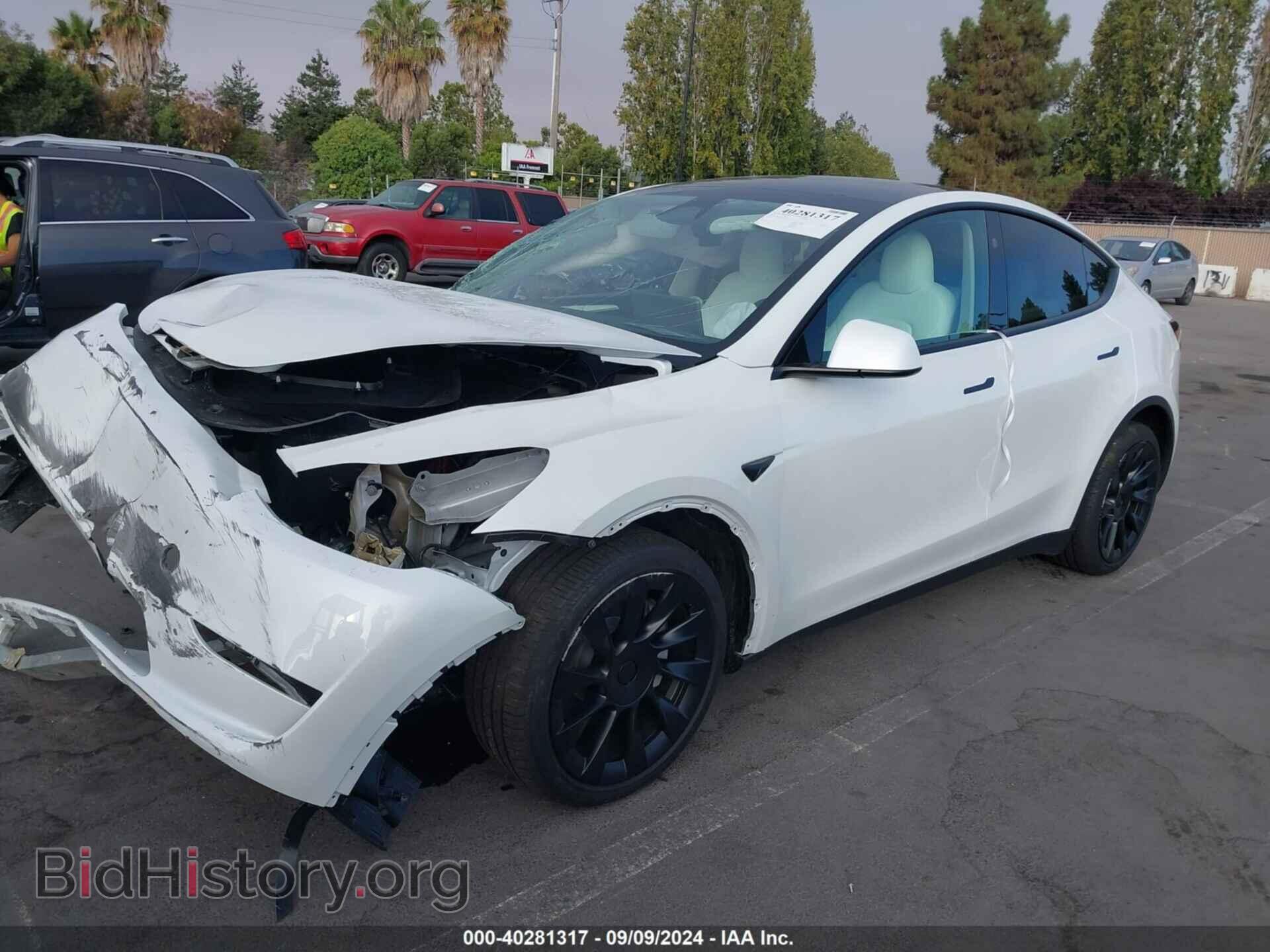 2024 TESLA MODEL Y - VIN: 7SAYGDEE9RF058832 - Фото 2