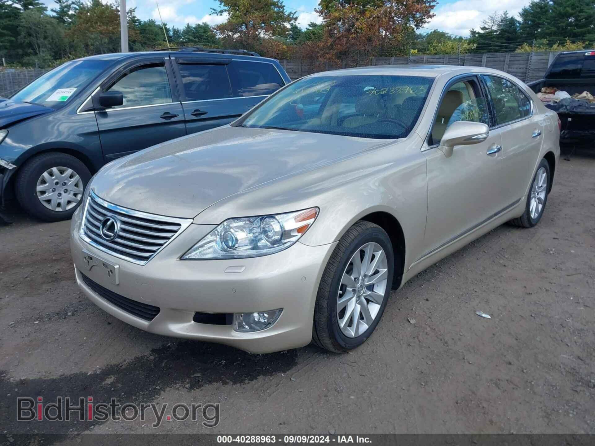 2011 LEXUS LS 460 - VIN: JTHCL5EF5B5010462 - Фото 2