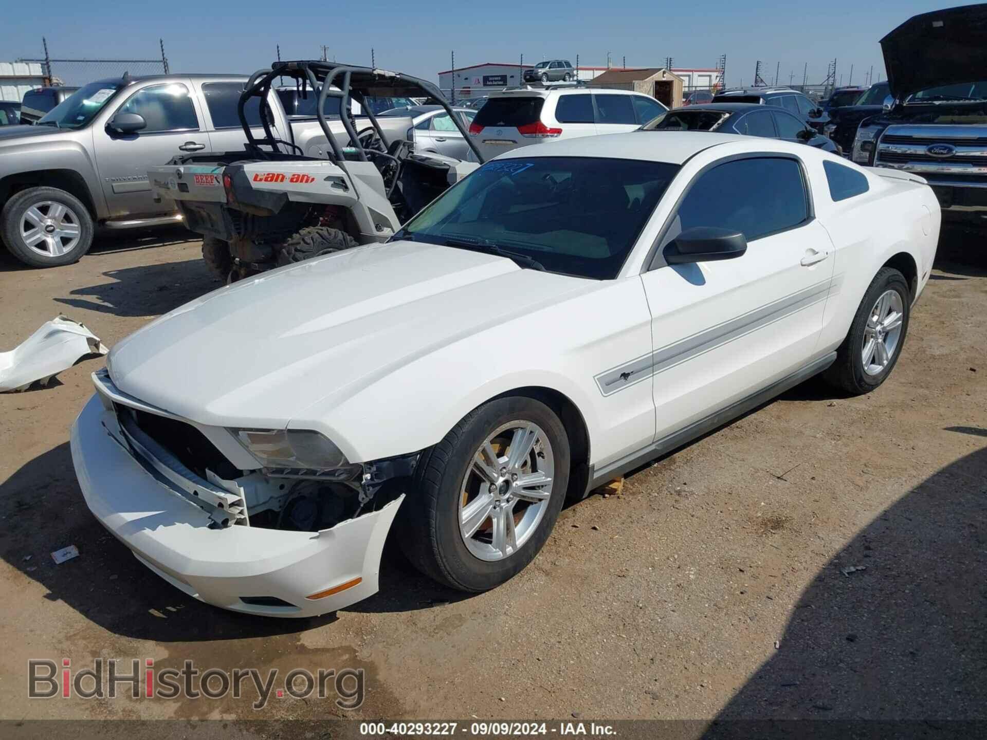 2011 FORD MUSTANG - VIN: 1ZVBP8AM4B5124103 - Фото 2