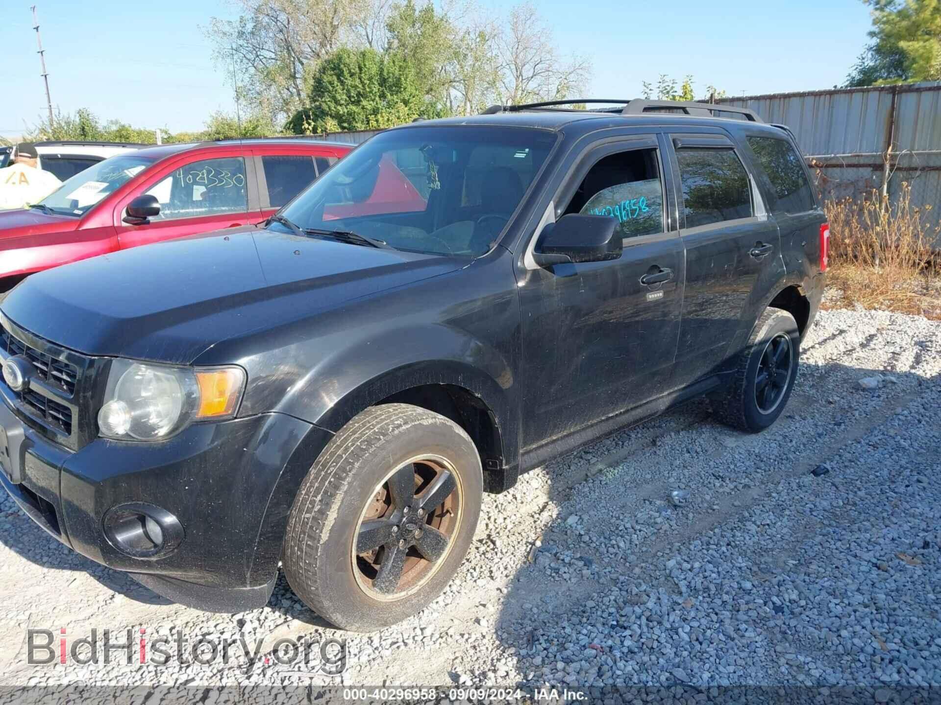 2010 FORD ESCAPE - VIN: 1FMCU0D77AKC58204 - Фото 2