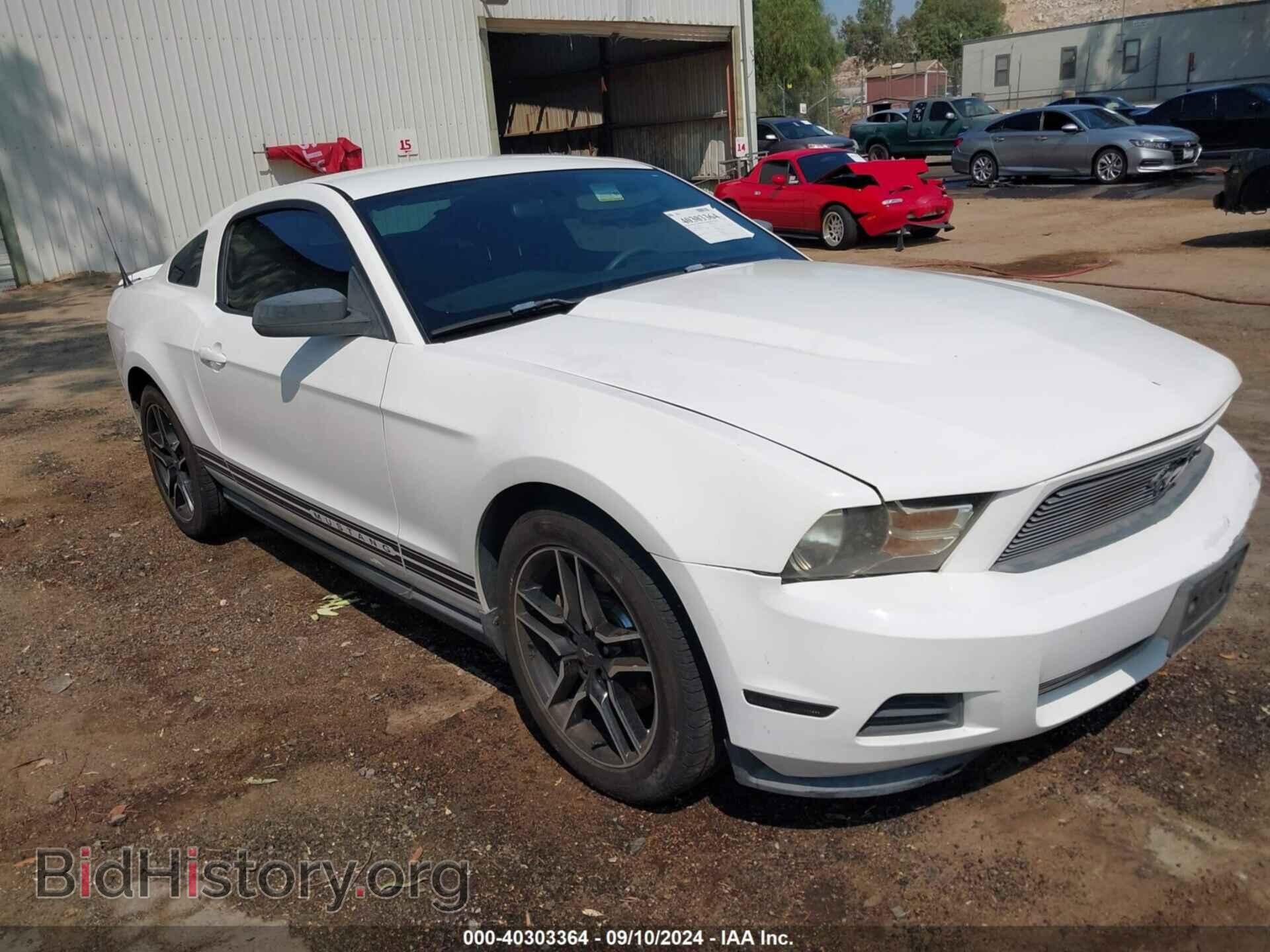 Фотография 1ZVBP8AM5B5125955 - FORD MUSTANG 2011