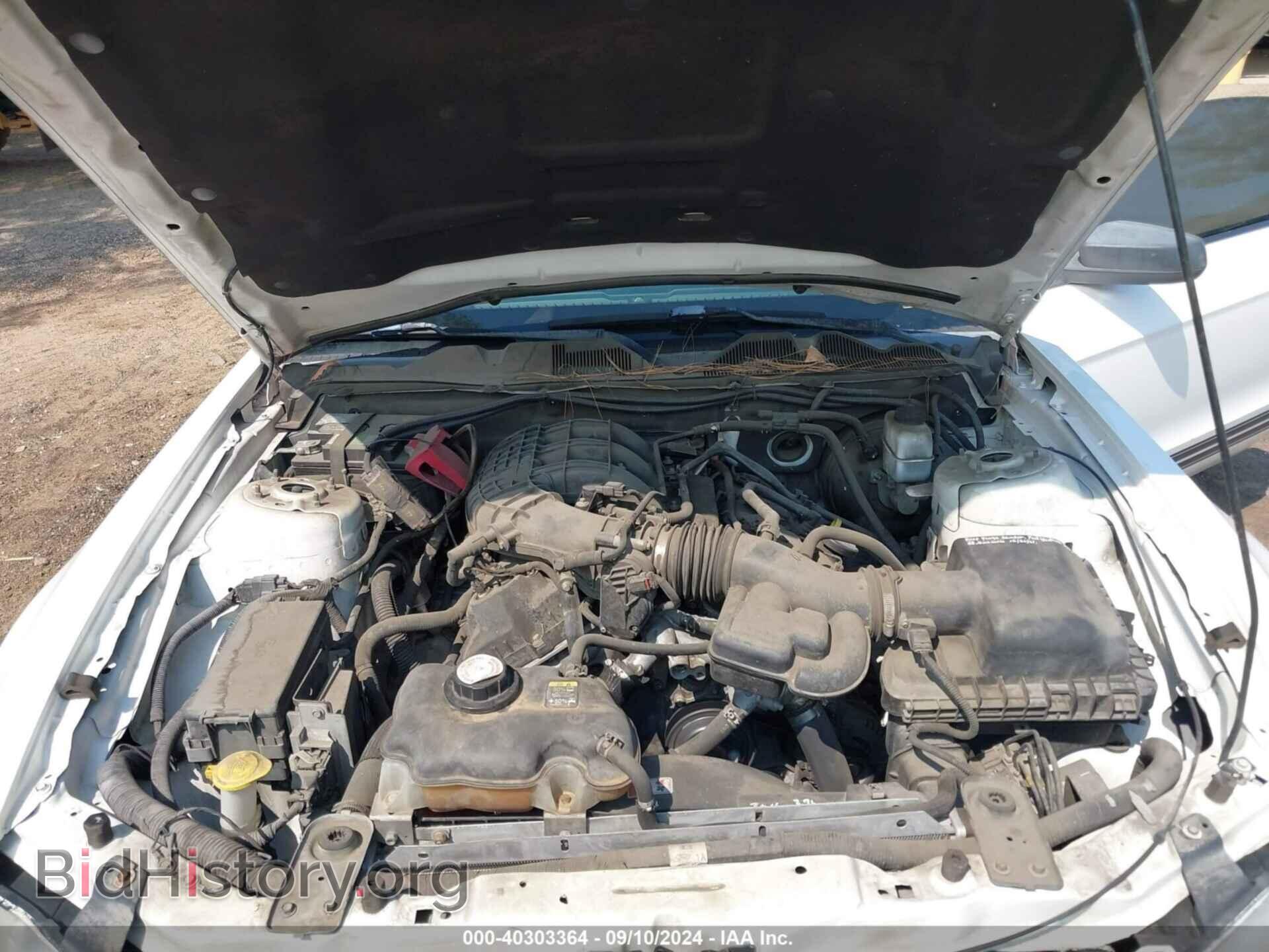 2011 FORD MUSTANG - VIN: 1ZVBP8AM5B5125955 - Фото 10