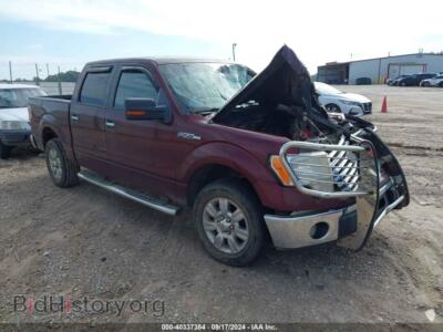 2010 Ford F-150 FX2 Sport/XL/XLT, burgundy — VIN 1FTEW1C83AFB46306, IAAI