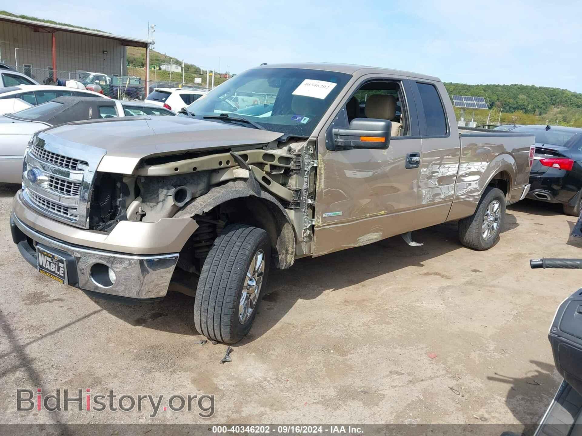 2013 FORD F-150 - VIN: 1FTFX1CTXDFD46920 - Фото 2