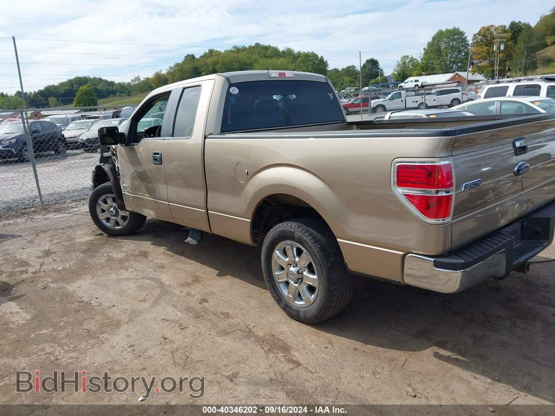 2013 FORD F-150 - VIN: 1FTFX1CTXDFD46920 - Фото 3