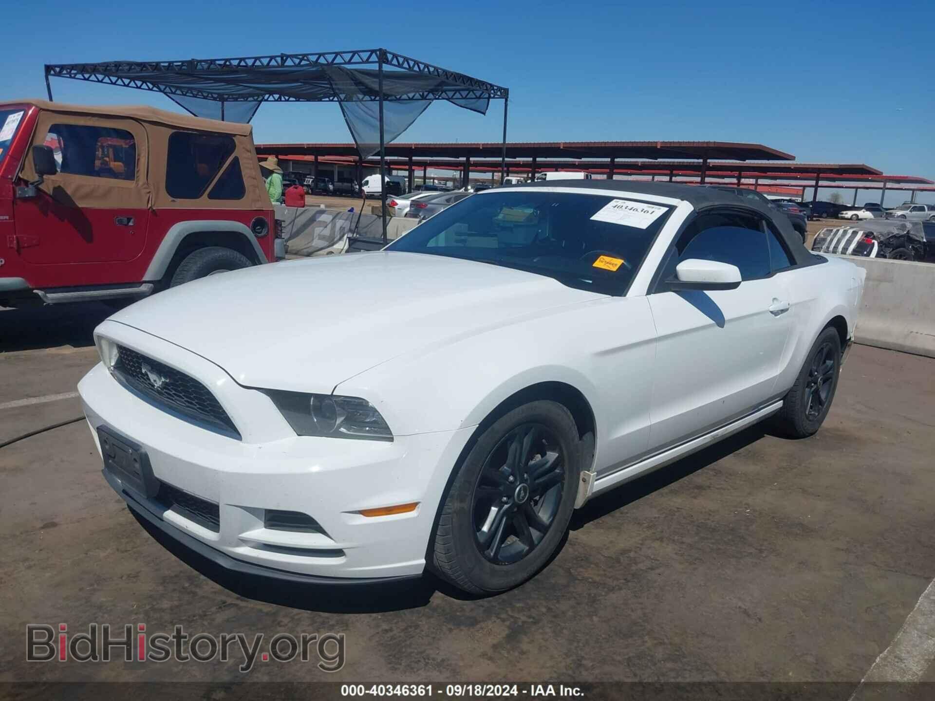 2014 FORD MUSTANG - VIN: 1ZVBP8EM2E5296872 - Фото 2