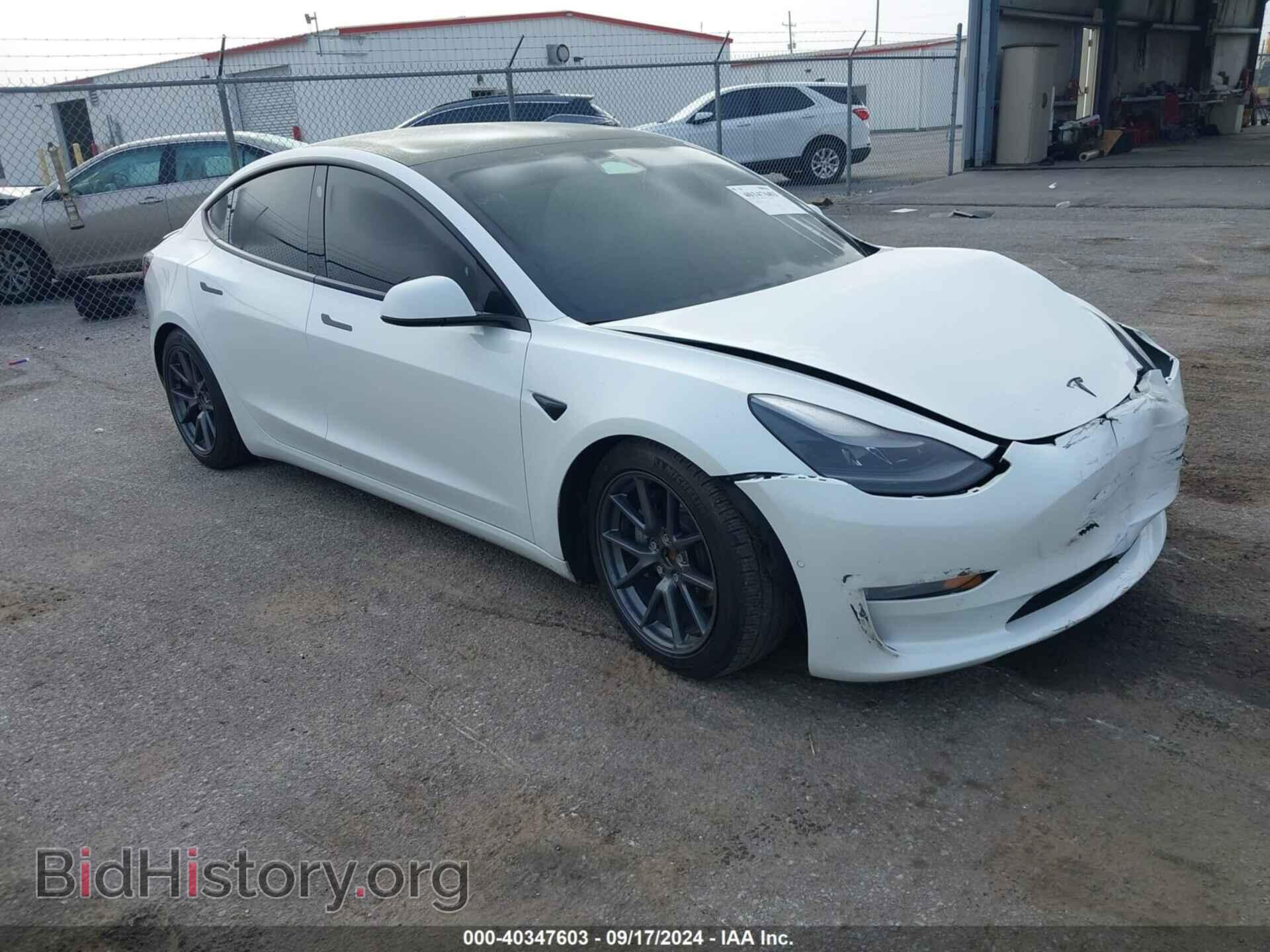Photo 5YJ3E1EB7MF903400 - TESLA MODEL 3 2021