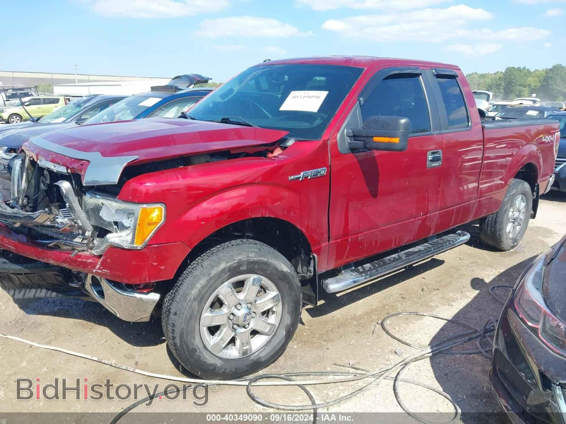 2013 FORD F-150 - VIN: 1FTFX1EF4DFB07855 - Фото 2