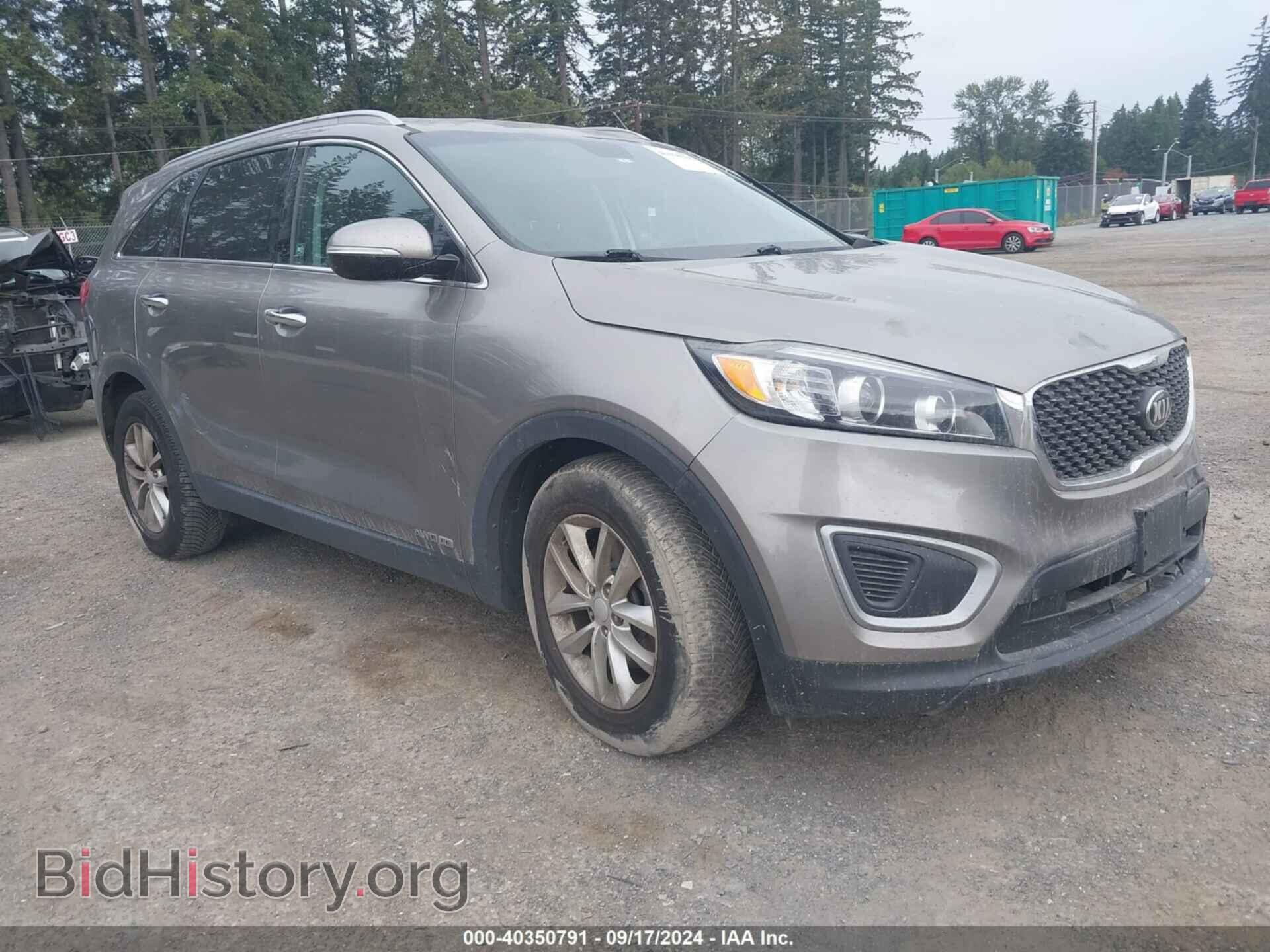 Photo 5XYPGDA57HG217711 - KIA SORENTO 2017