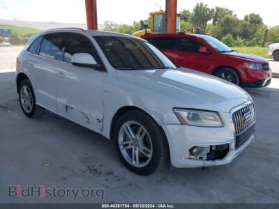 2013 Audi Q5 3.0T Premium Plus, белый — VIN WA1DGAFP6DA099389, IAAI