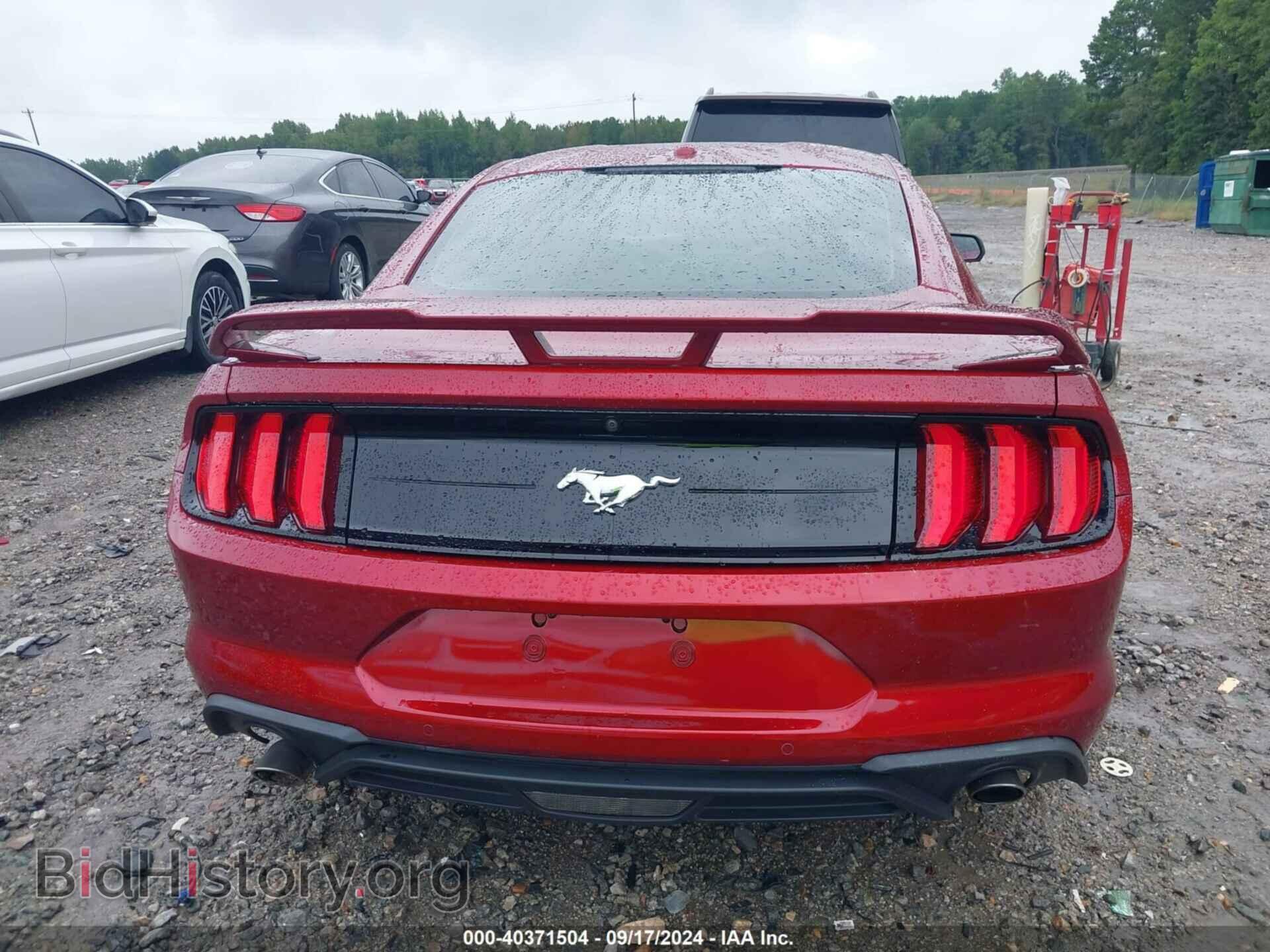 2019 FORD MUSTANG - VIN: 1FA6P8TH3K5154087 - Фото 15