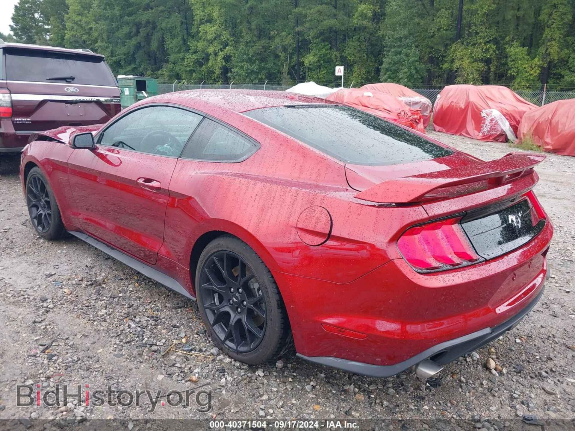 2019 FORD MUSTANG - VIN: 1FA6P8TH3K5154087 - Фото 3