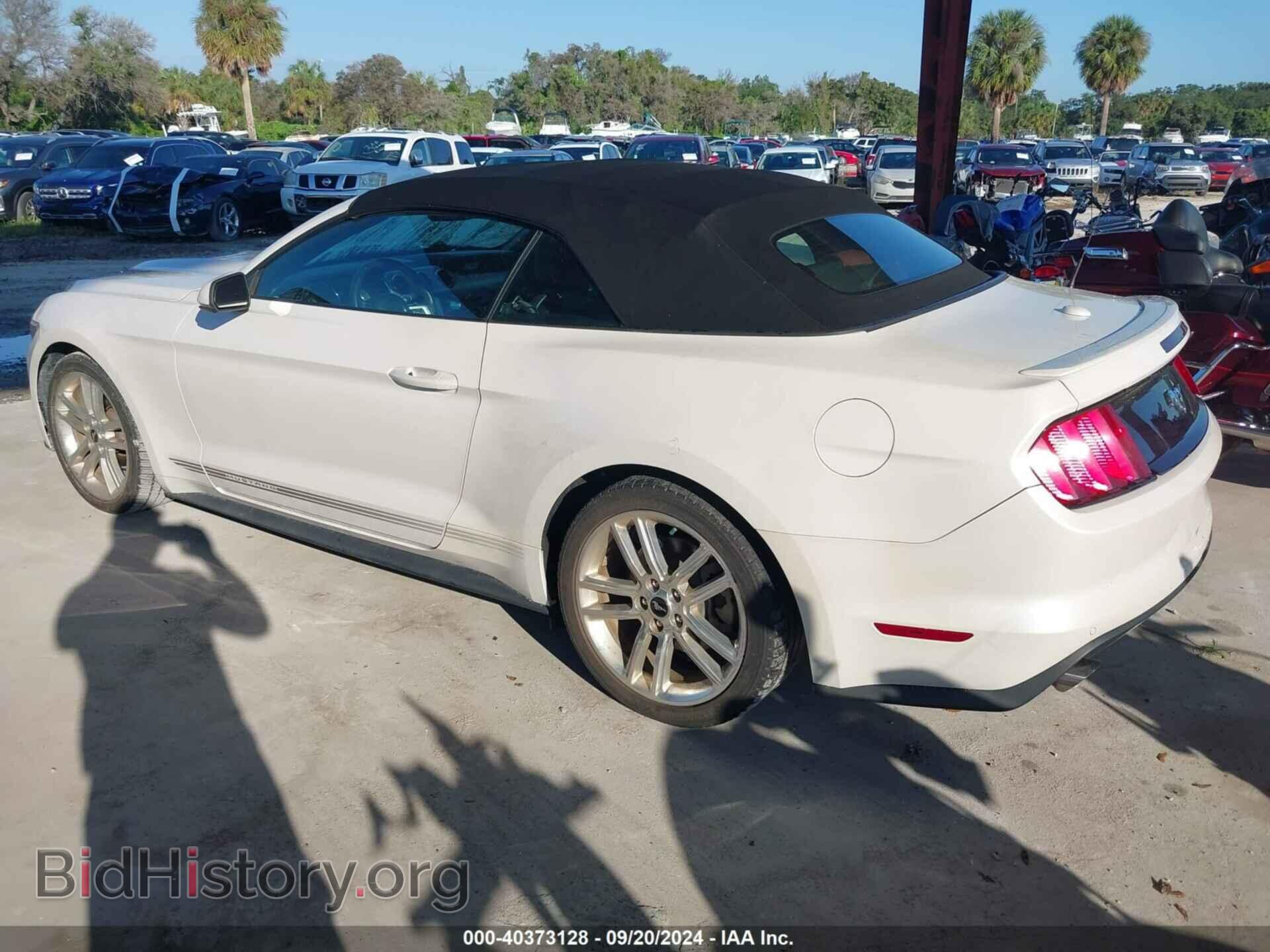 2017 FORD MUSTANG - VIN: 1FATP8UH0H5343256 - Фото 3