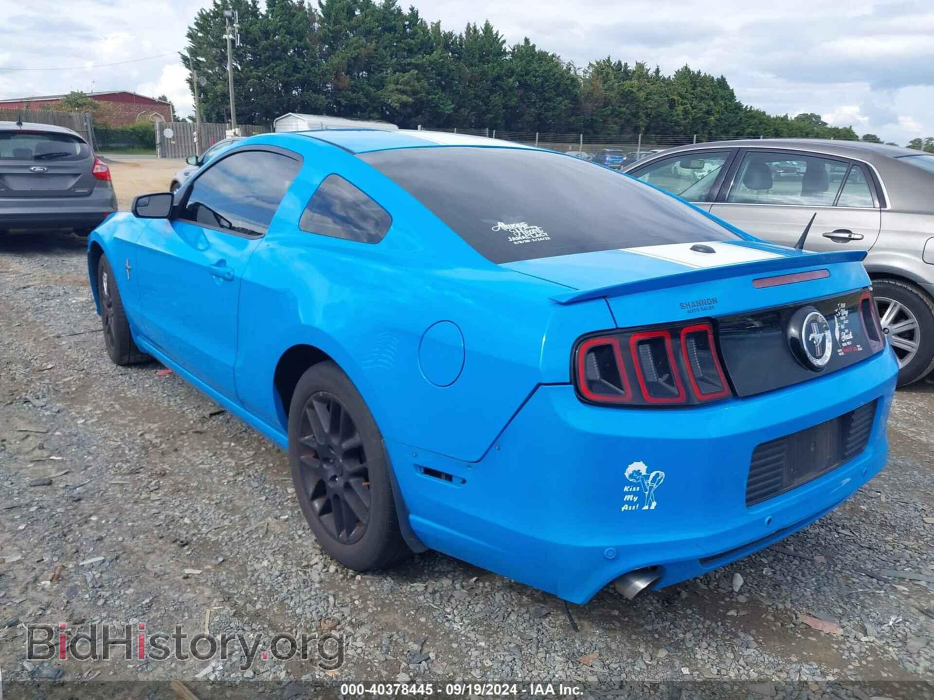 2013 FORD MUSTANG - VIN: 1ZVBP8AM1D5278643 - Фото 3