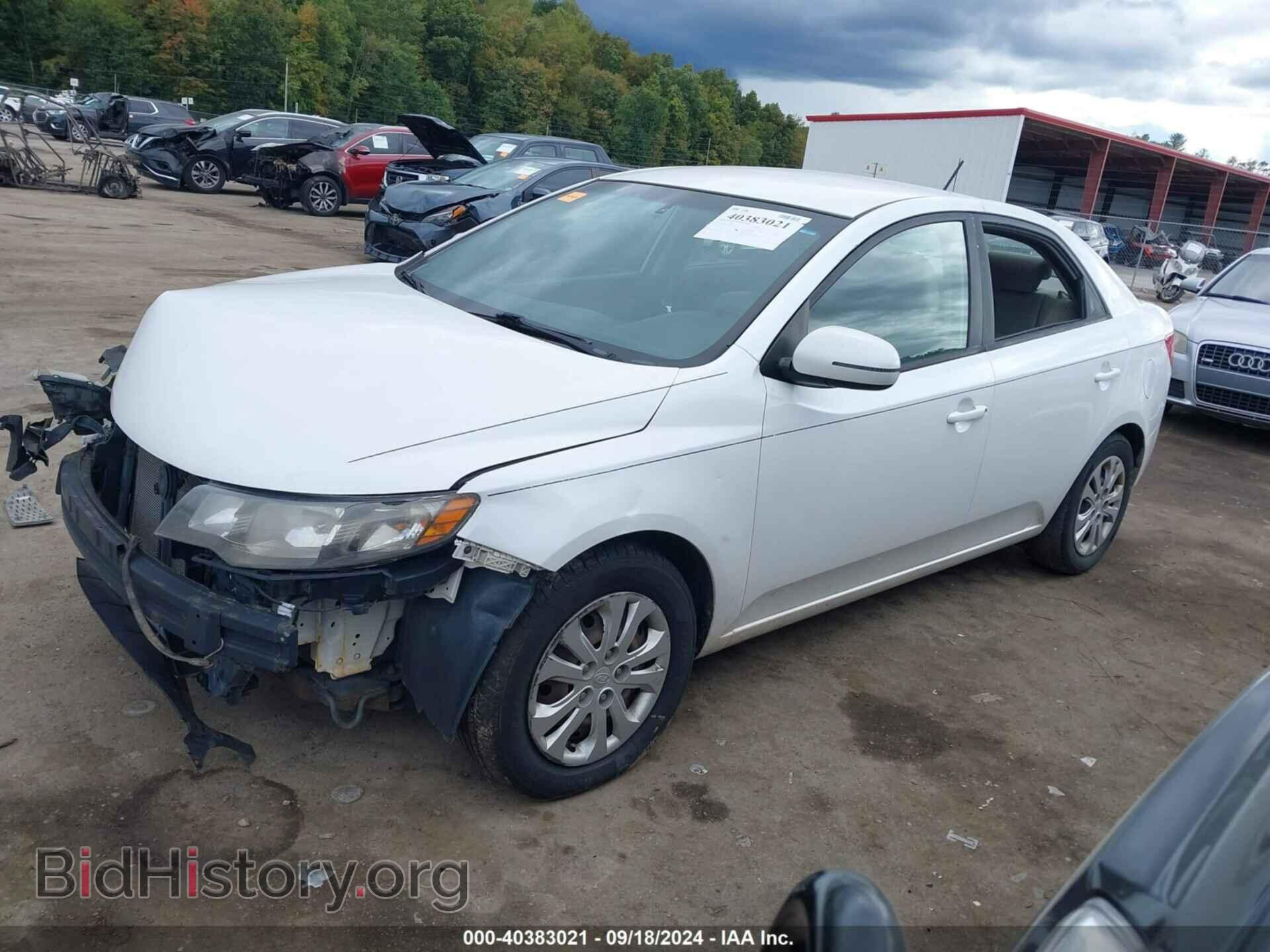 2011 KIA FORTE - VIN: KNAFU4A29B5381145 - Фото 2