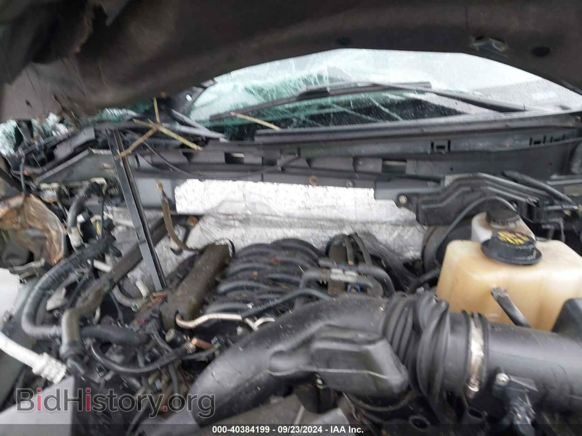 2013 FORD F-150 - VIN: 1FTFW1EF0DFA50329 - Фото 10