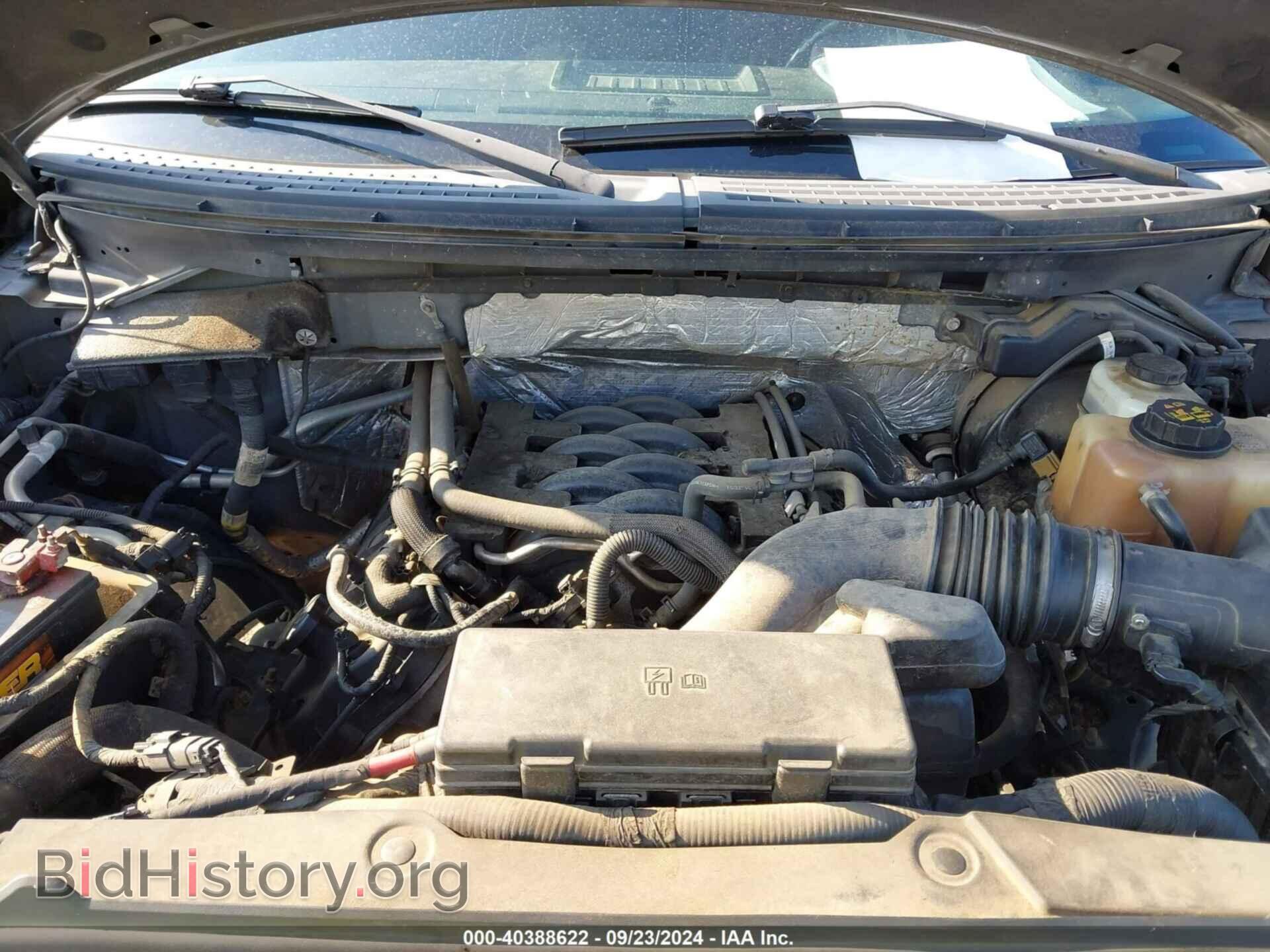 2011 FORD F-150 - VIN: 1FTFW1EF6BFB28478 - Фото 10