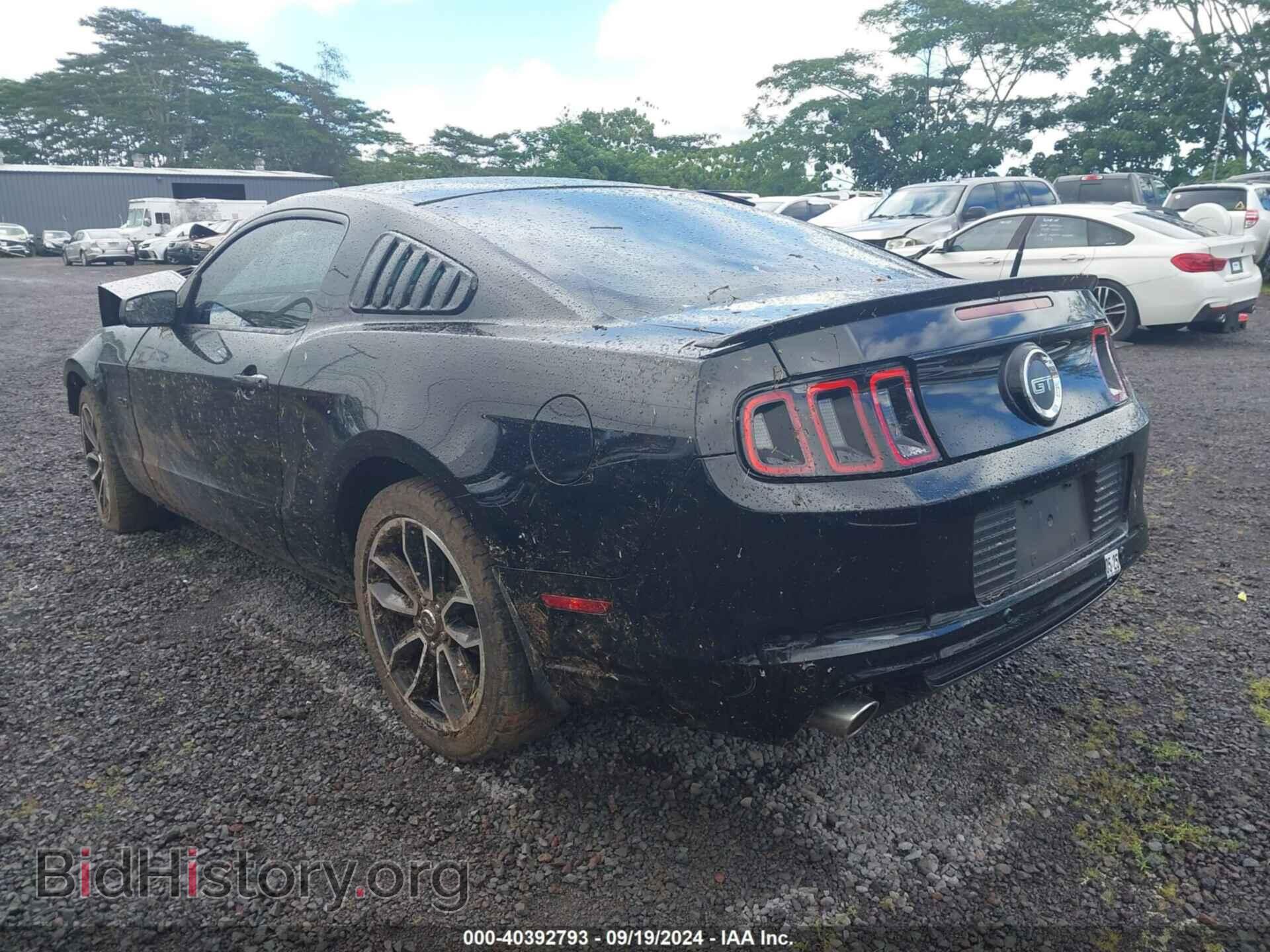 2014 FORD MUSTANG - VIN: 1ZVBP8CF7E5252886 - Фото 3