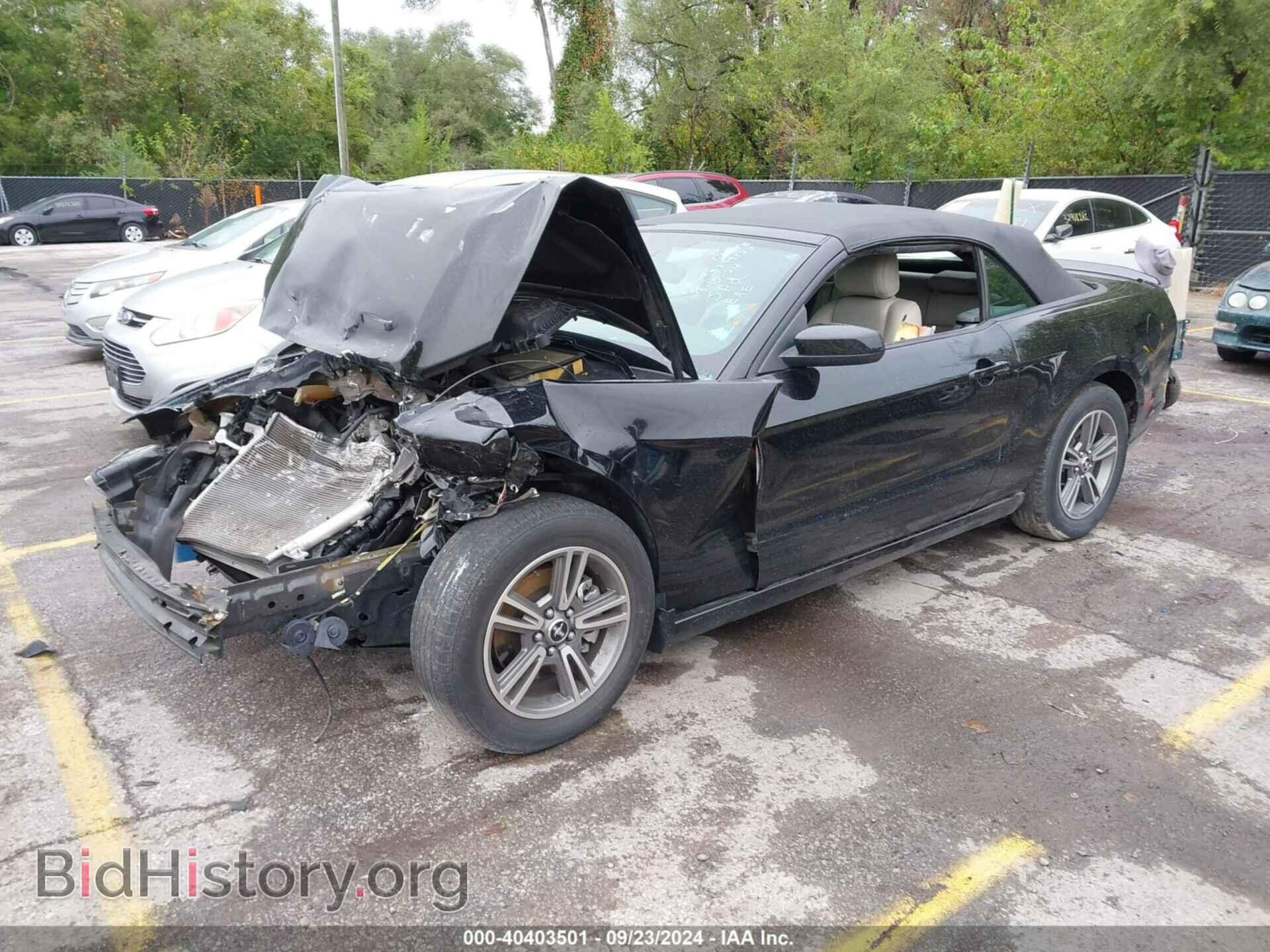 2013 FORD MUSTANG - VIN: 1ZVBP8EM7D5239727 - Фото 2