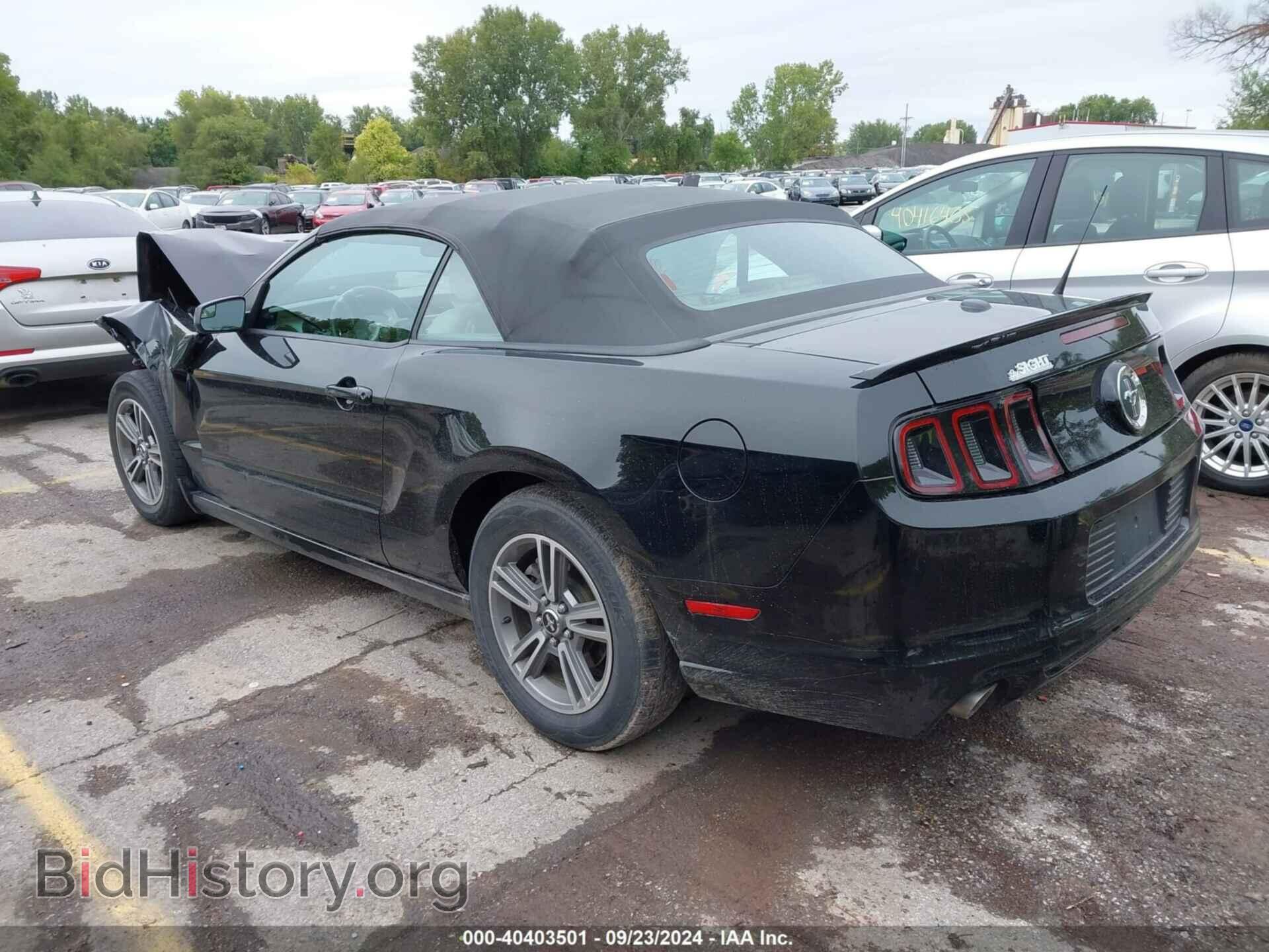 2013 FORD MUSTANG - VIN: 1ZVBP8EM7D5239727 - Фото 3