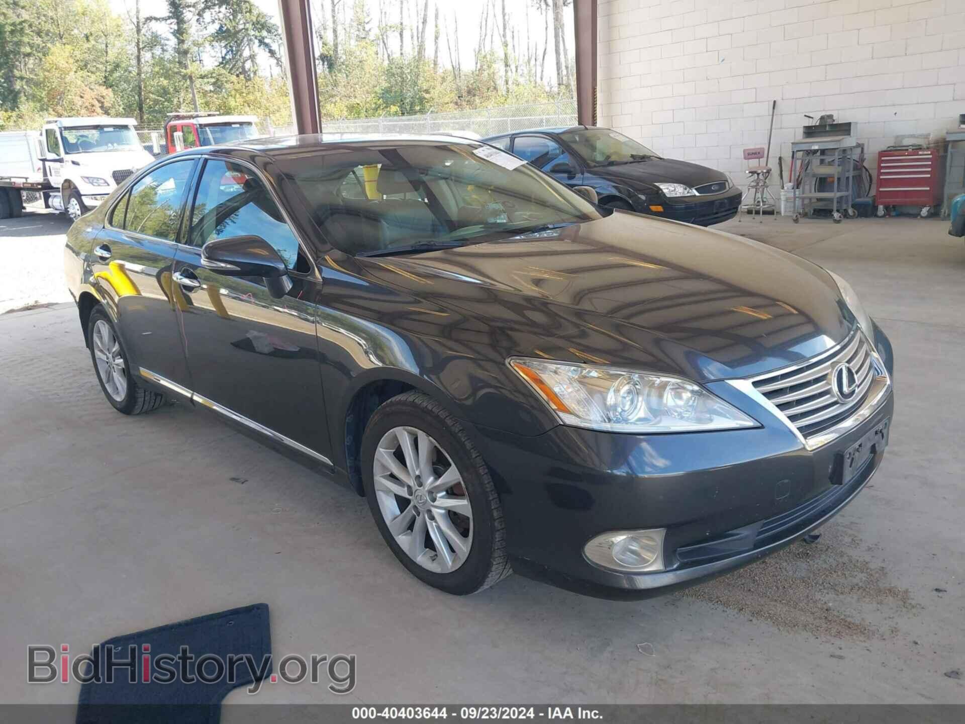 Фотография JTHBK1EG4A2384366 - LEXUS ES 350 2010