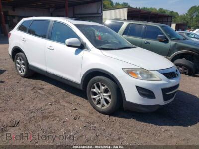 2011 Mazda CX-9 Touring, белый — VIN JM3TB2CA7B0309739, IAAI