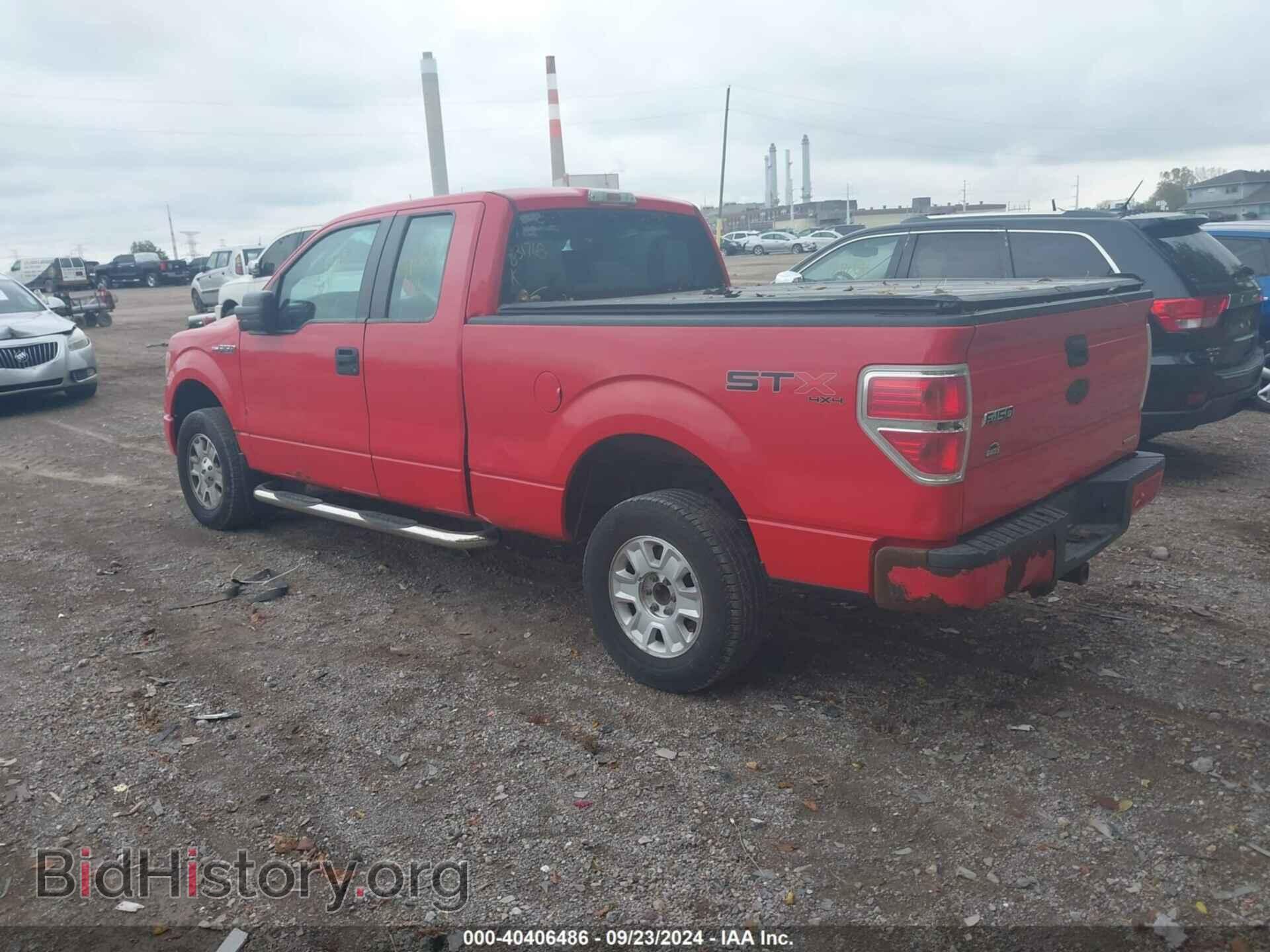 2011 FORD F-150 - VIN: 1FTFX1EF1BFB31768 - Фото 3